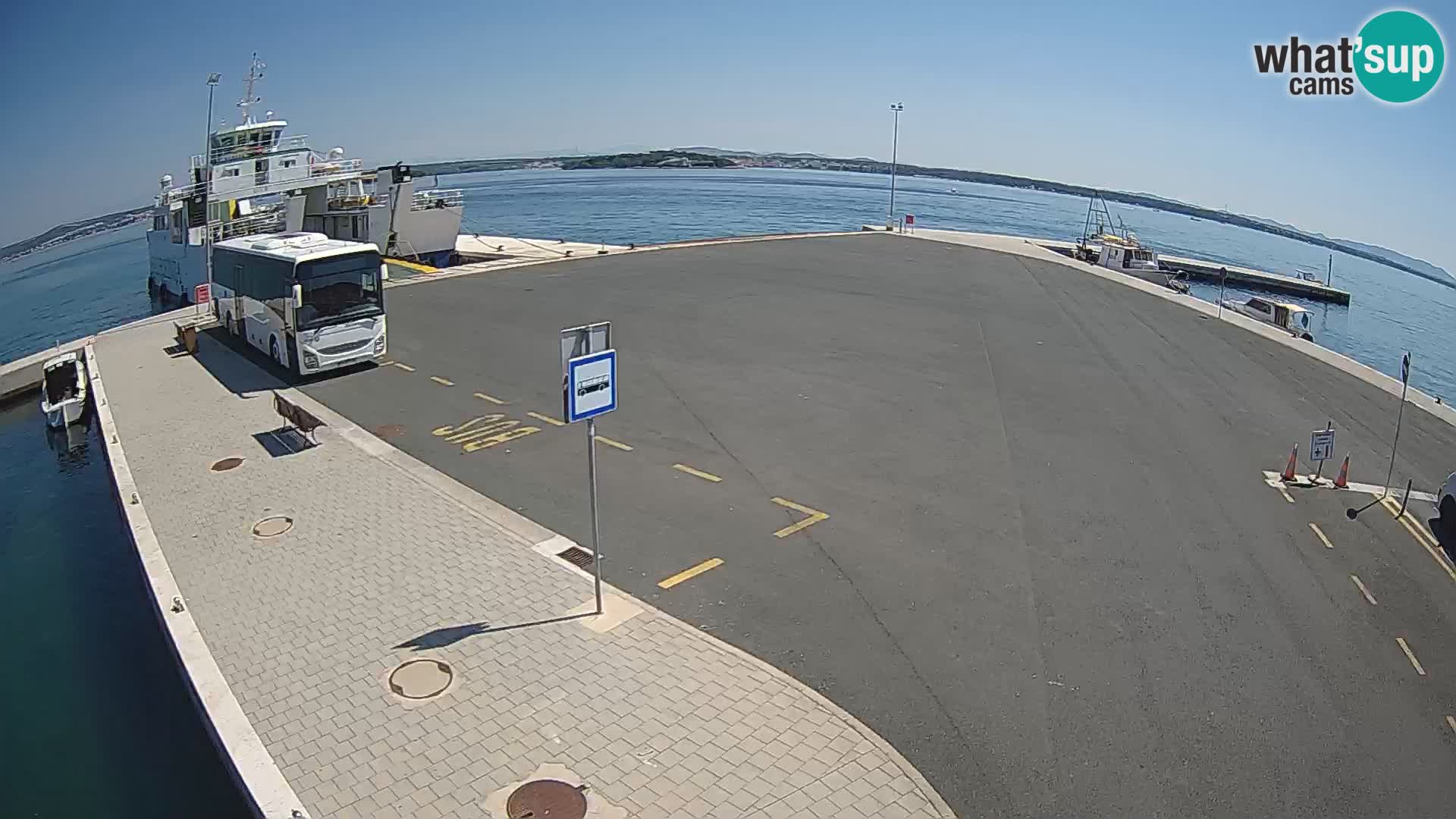 Tkon u živo – trajekt – Dalmacija