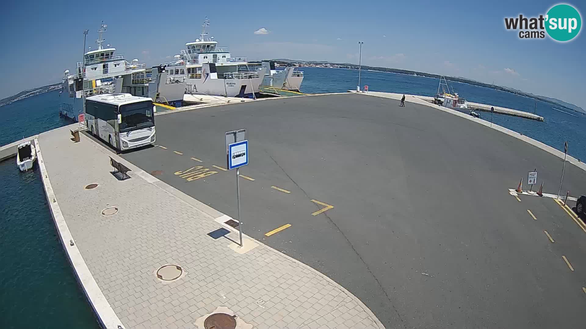 Tkon u živo – trajekt – Dalmacija