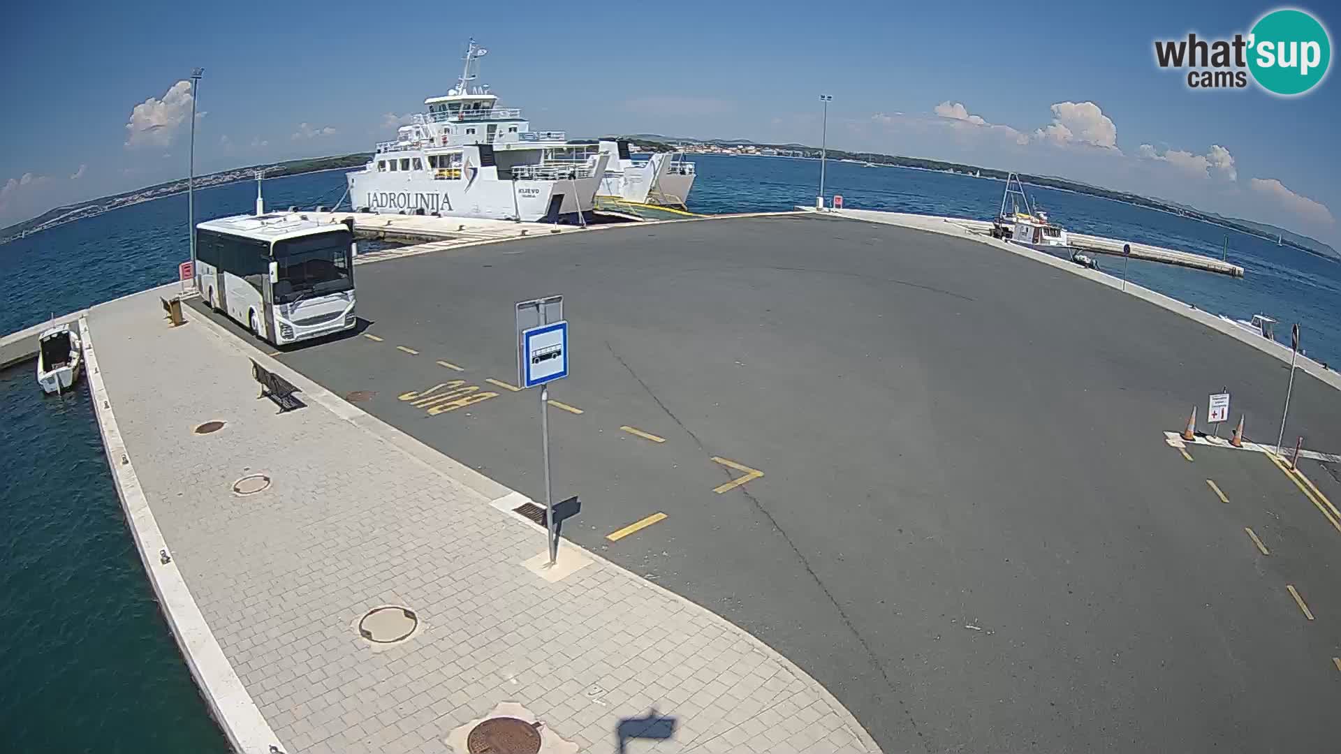 Tkon u živo – trajekt – Dalmacija
