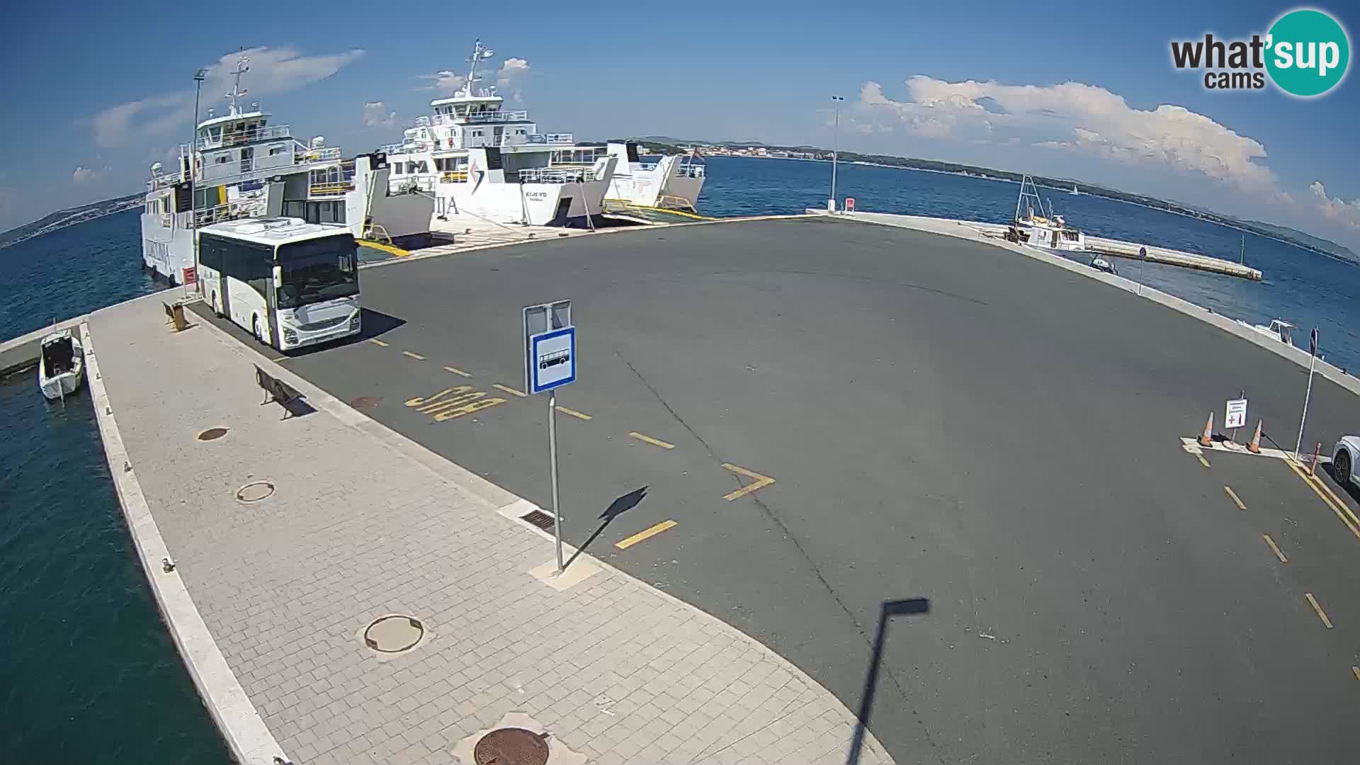 Tkon u živo – trajekt – Dalmacija