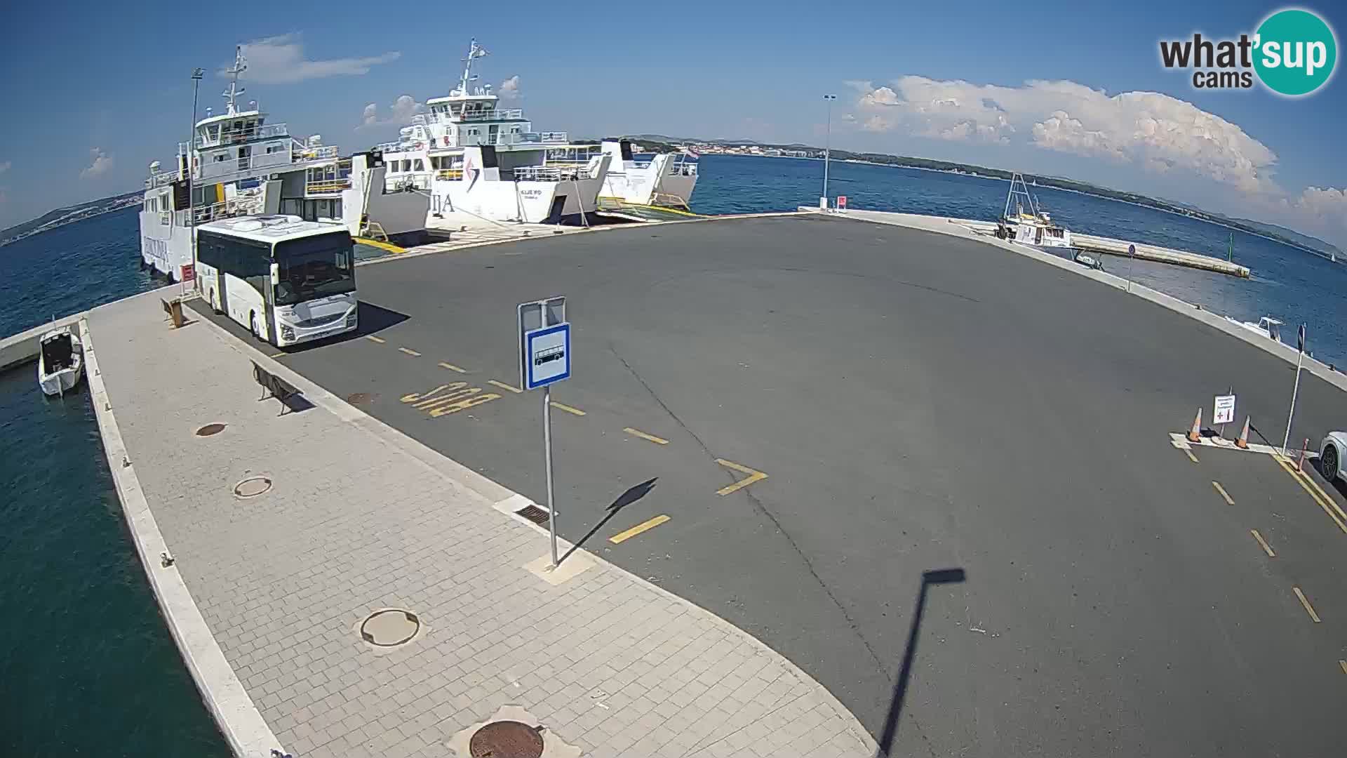 Tkon u živo – trajekt – Dalmacija