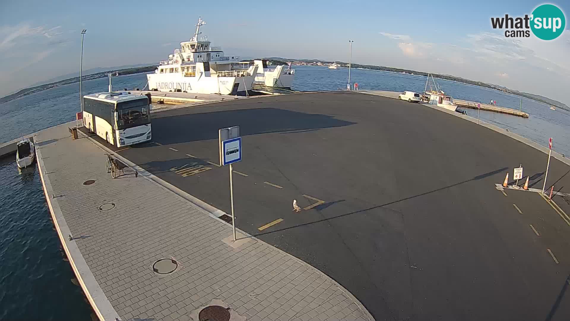 Tkon camera en vivo – Transportar – Dalmacia – Croacia