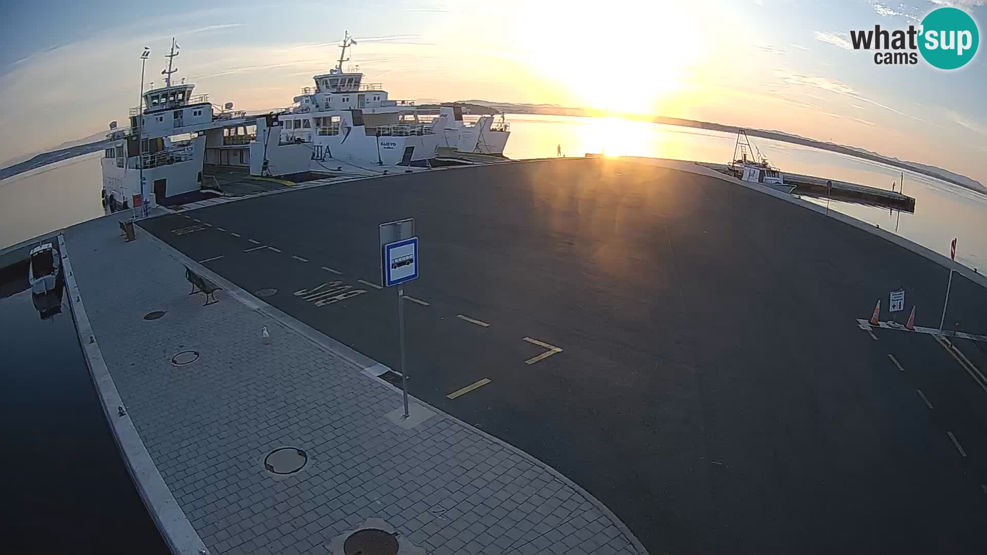 Tkon v živo – trajekt – Dalmacija – Hrvaška