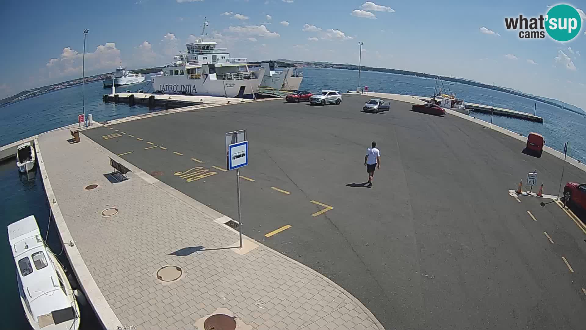 Tkon camera en vivo – Transportar – Dalmacia – Croacia