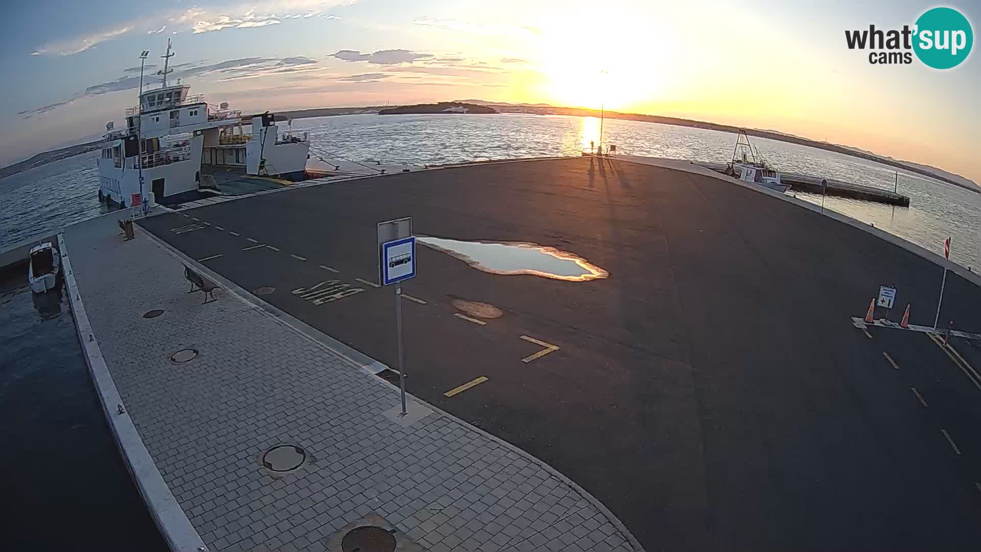 Tkon v živo – trajekt – Dalmacija – Hrvaška