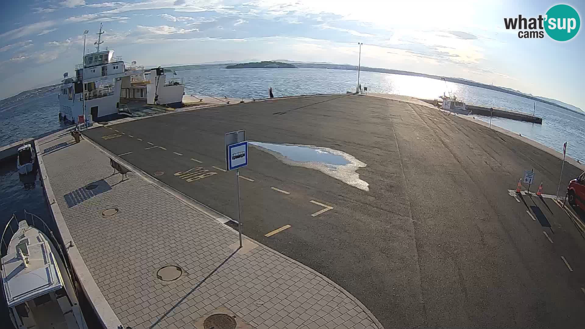 Tkon v živo – trajekt – Dalmacija – Hrvaška