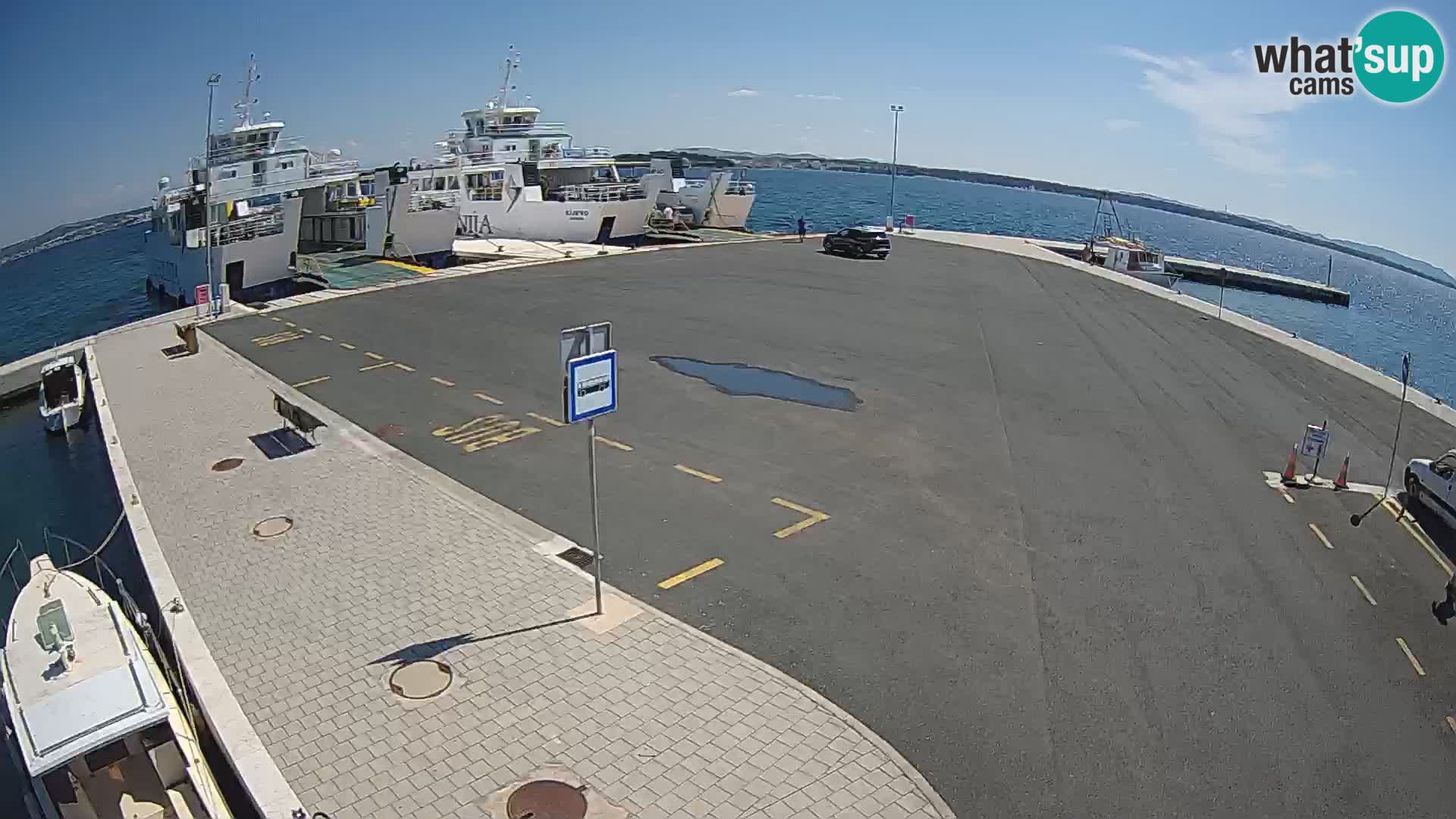 Tkon u živo – trajekt – Dalmacija