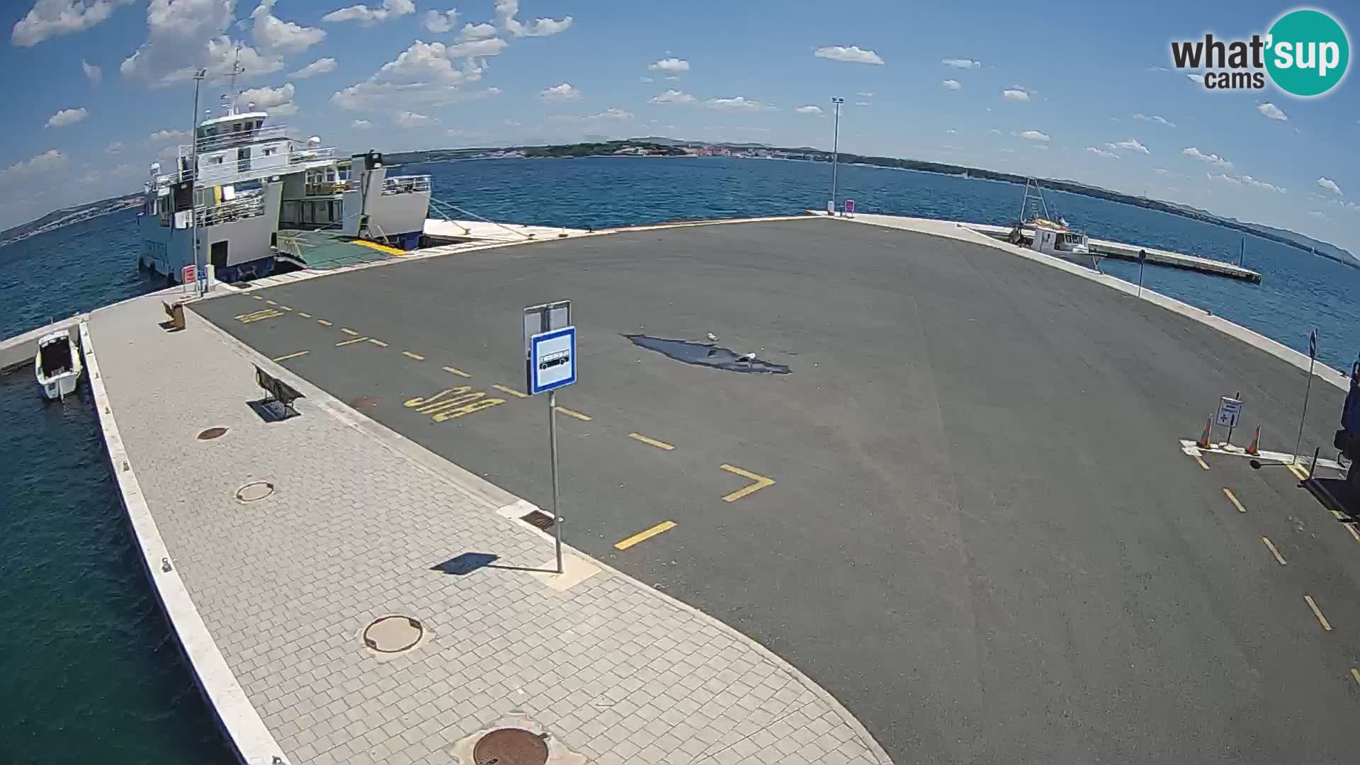 Tkon u živo – trajekt – Dalmacija