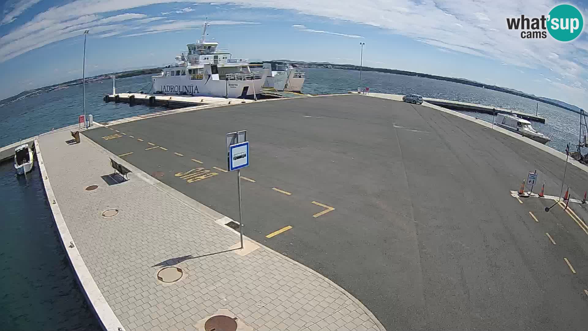 Tkon camera en vivo – Transportar – Dalmacia – Croacia