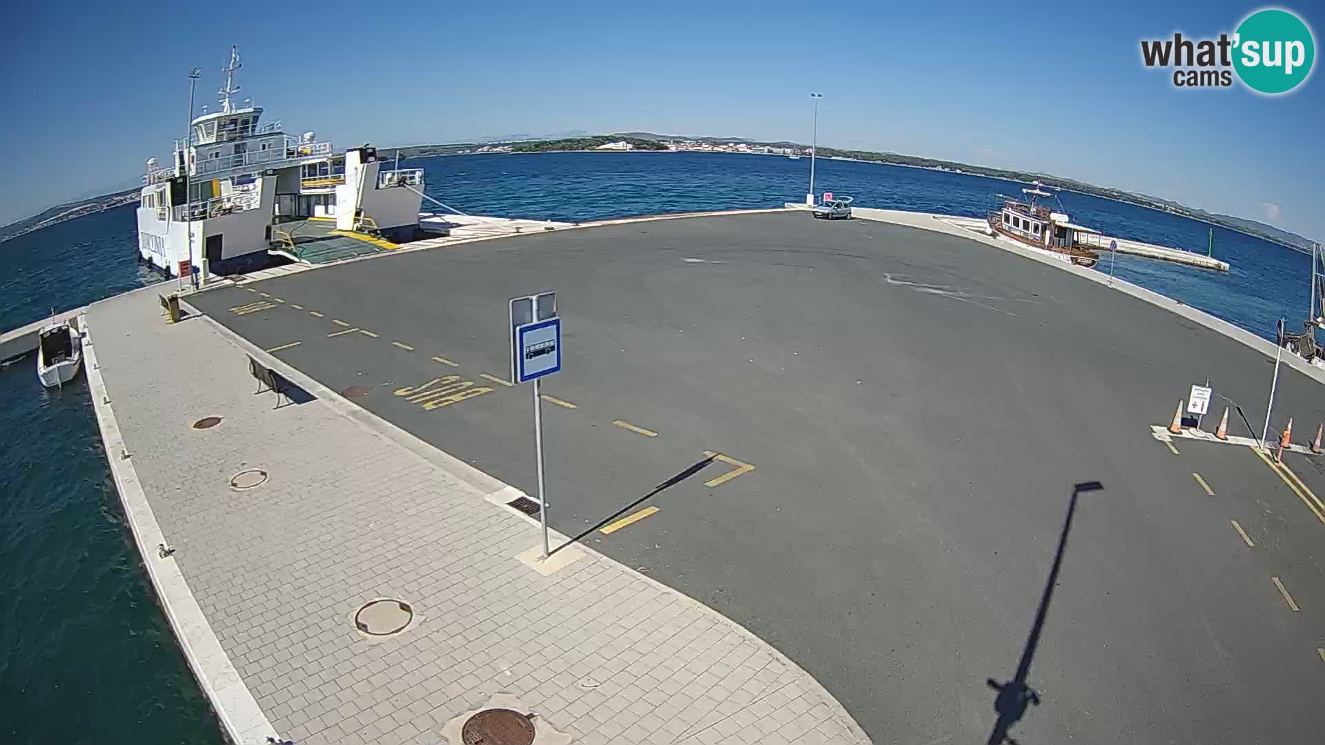 Tkon v živo – trajekt – Dalmacija – Hrvaška