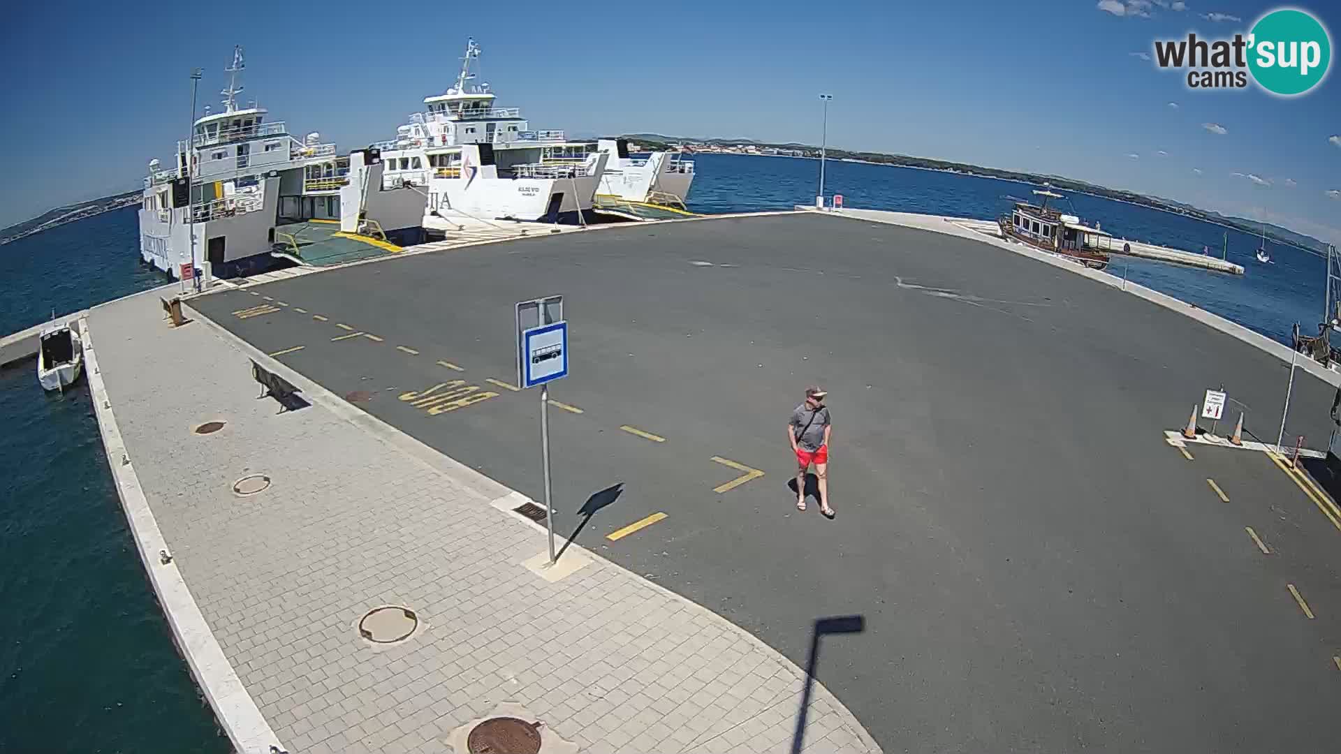 Tkon u živo – trajekt – Dalmacija