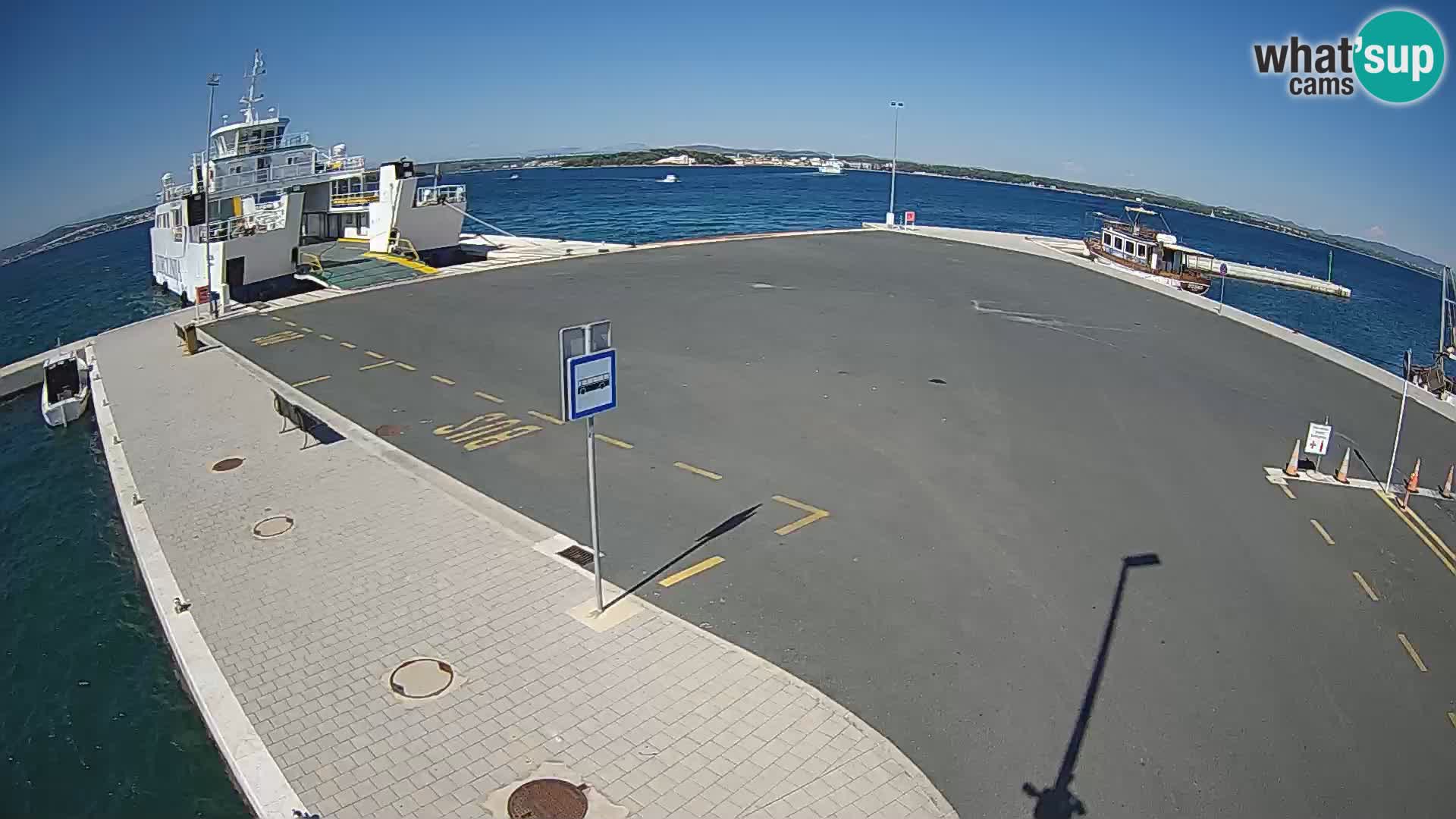 Tkon v živo – trajekt – Dalmacija – Hrvaška