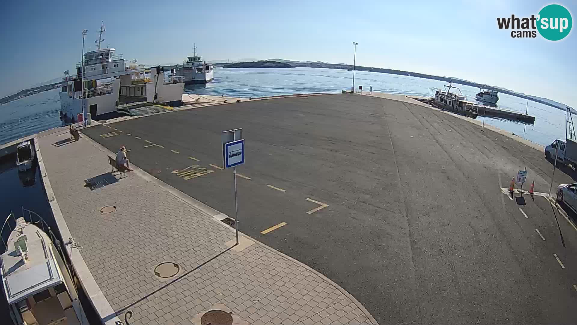 Tkon v živo – trajekt – Dalmacija – Hrvaška