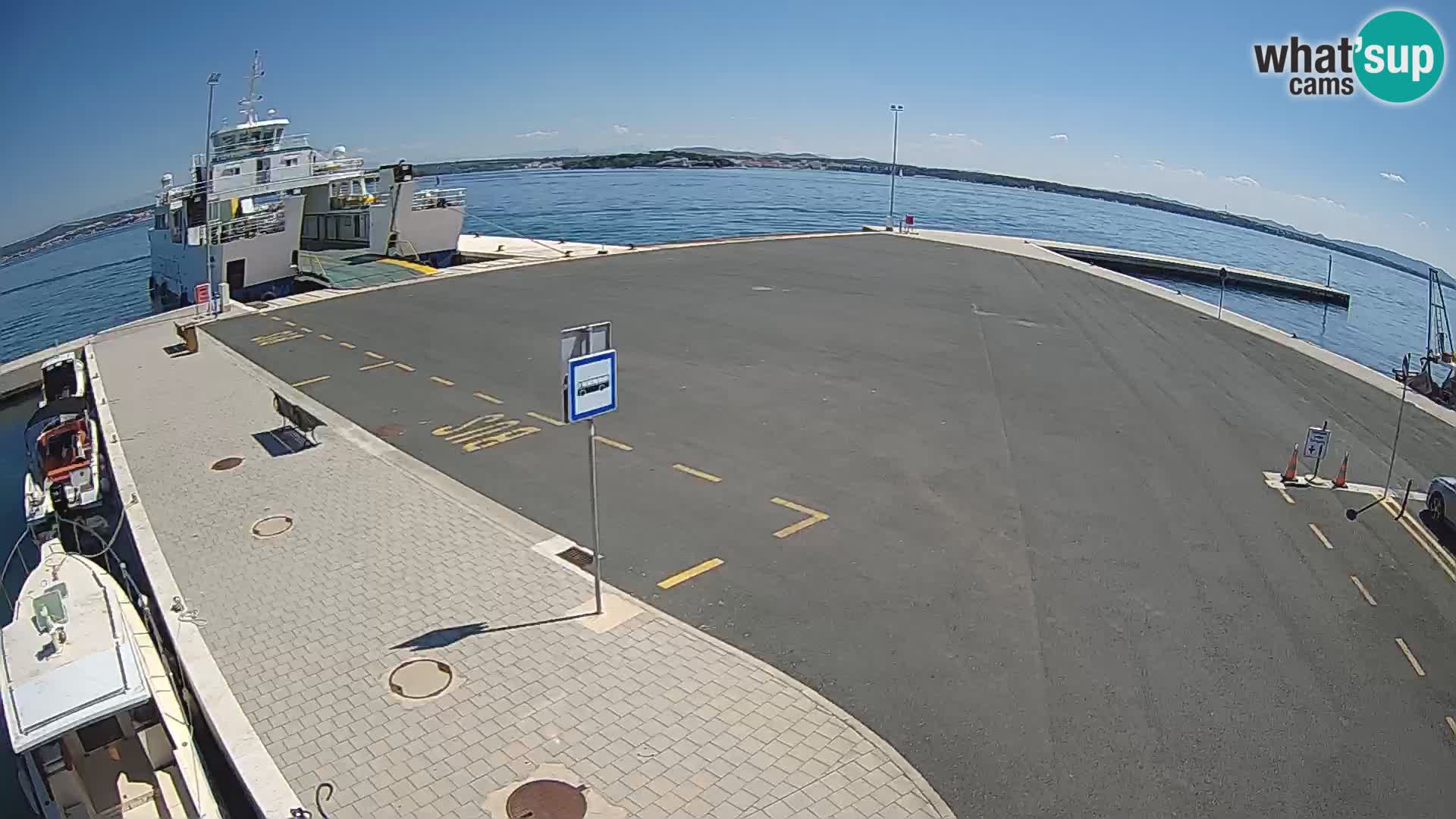 Tkon camera en vivo – Transportar – Dalmacia – Croacia