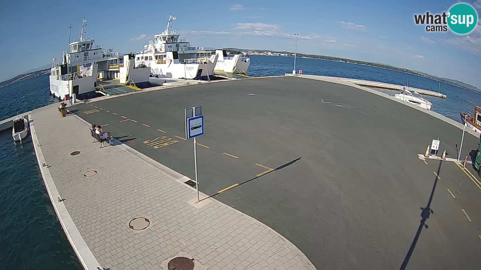 Tkon Live cam – ferry – Dalmatie – Croatie