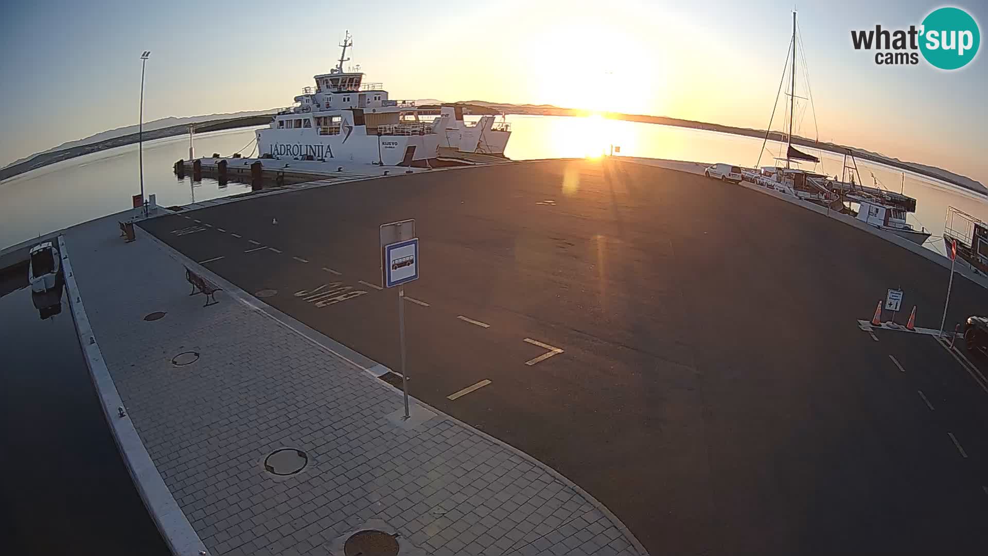 Tkon v živo – trajekt – Dalmacija – Hrvaška