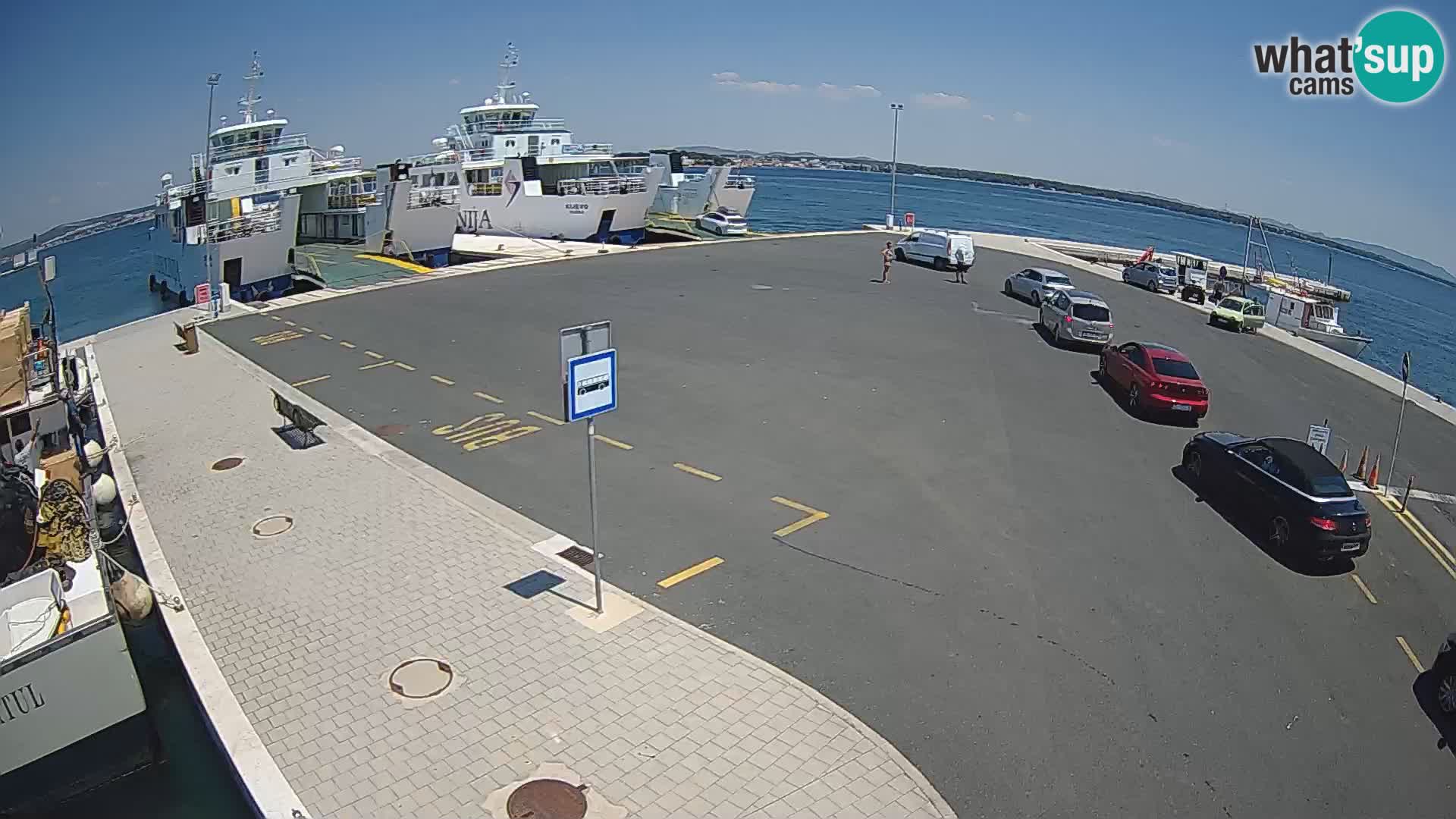 Tkon u živo – trajekt – Dalmacija