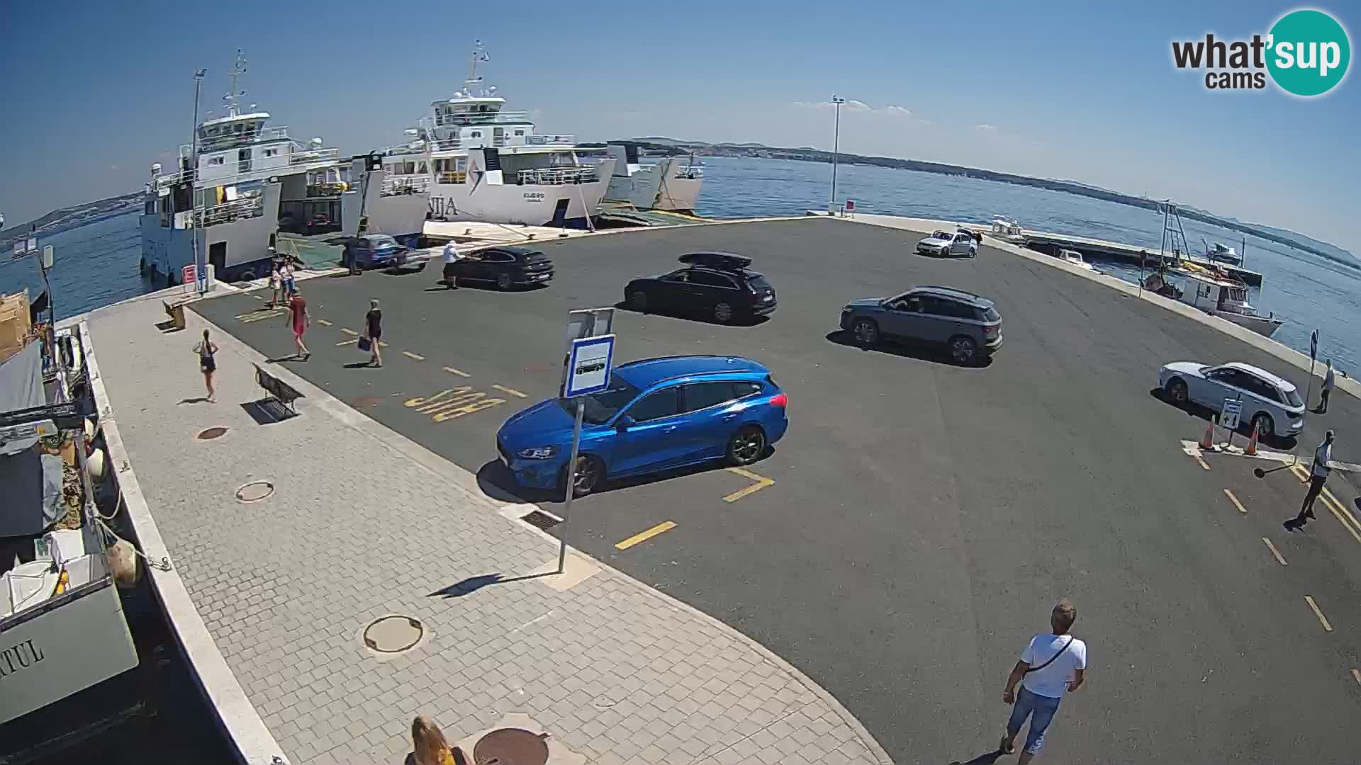 Tkon v živo – trajekt – Dalmacija – Hrvaška
