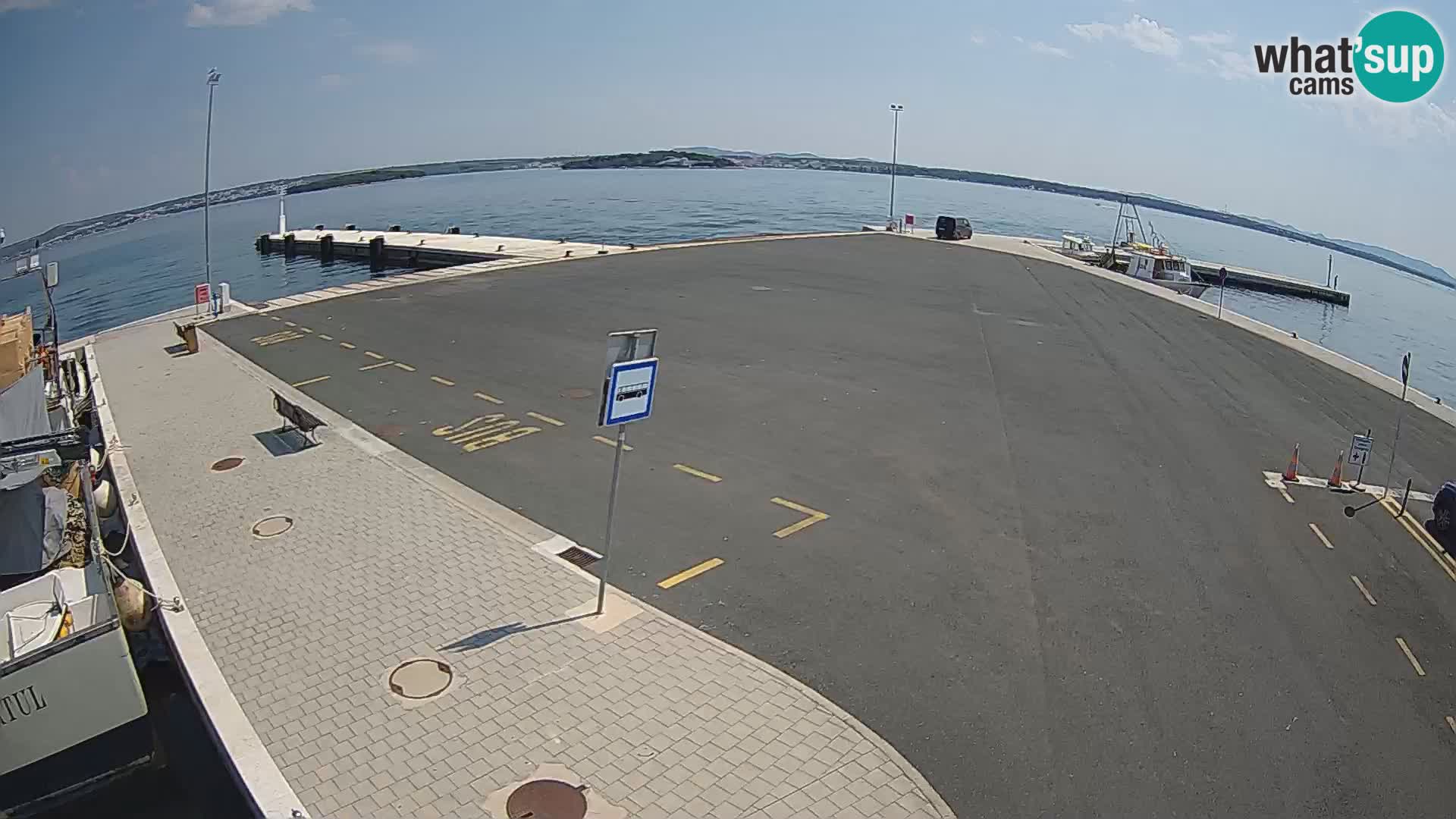 Tkon u živo – trajekt – Dalmacija