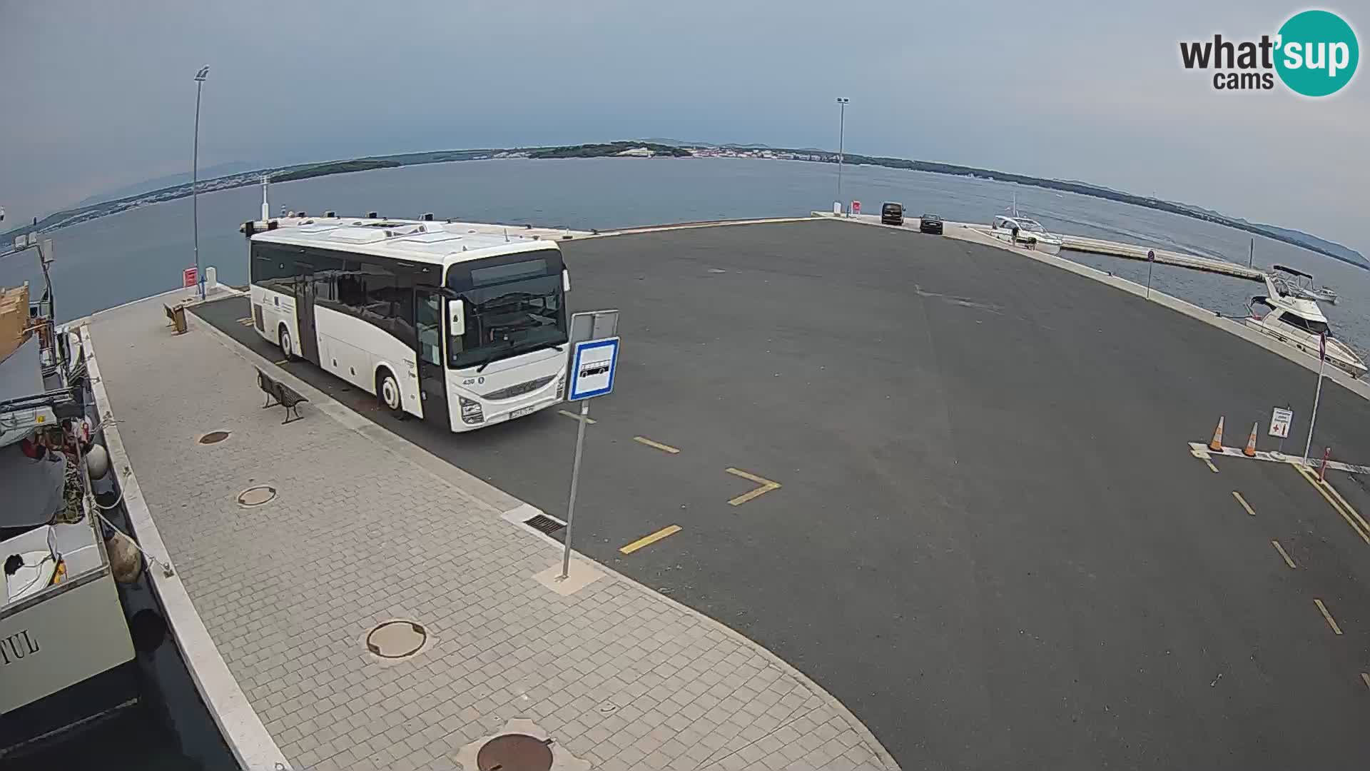 Tkon Live cam – ferry – Dalmatia – Croatia
