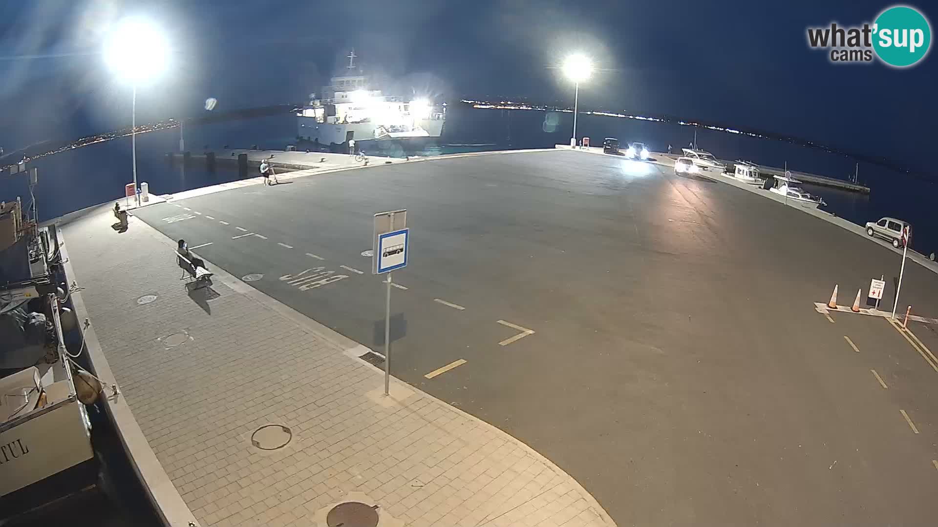 Tkon u živo – trajekt – Dalmacija