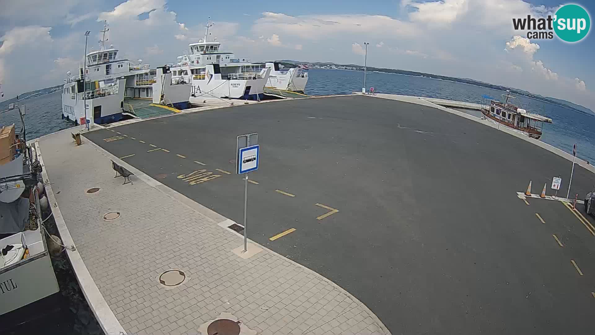 Tkon camera en vivo – Transportar – Dalmacia – Croacia