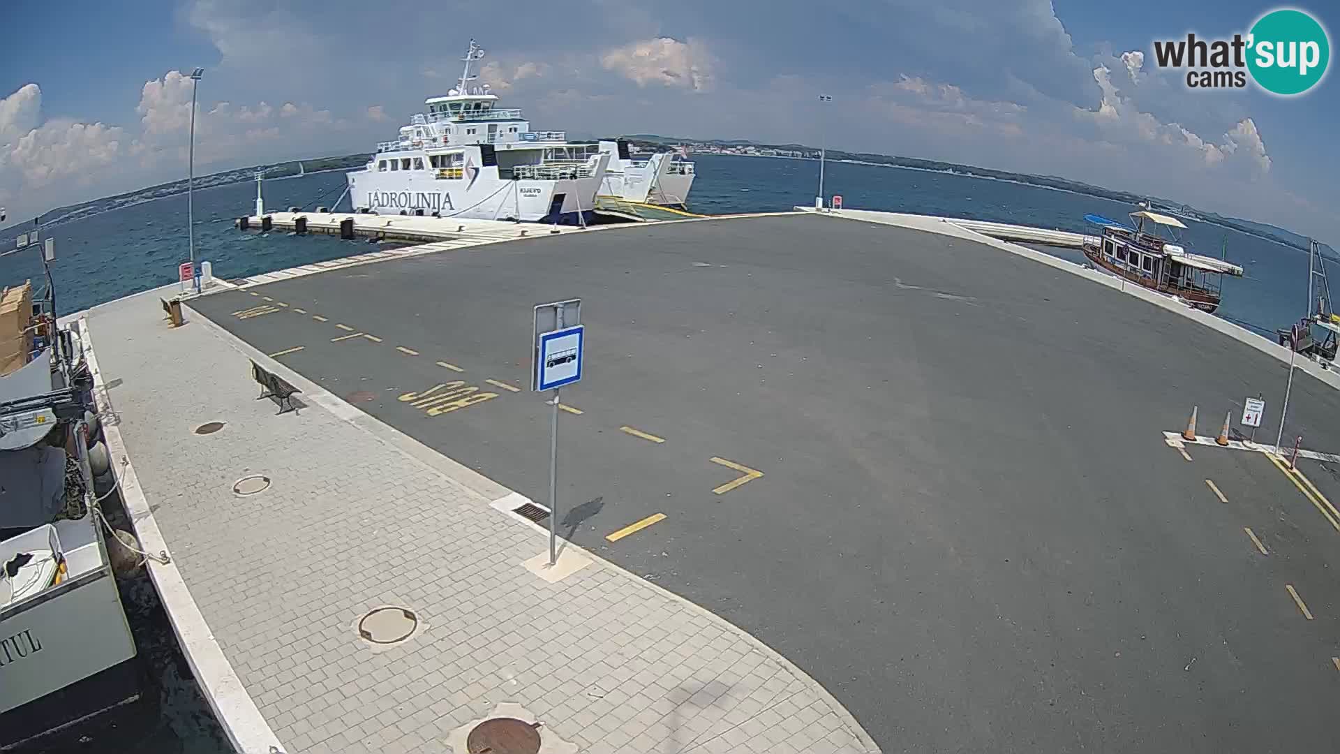 Tkon Live cam – traghetto – Dalmazia – Croazia