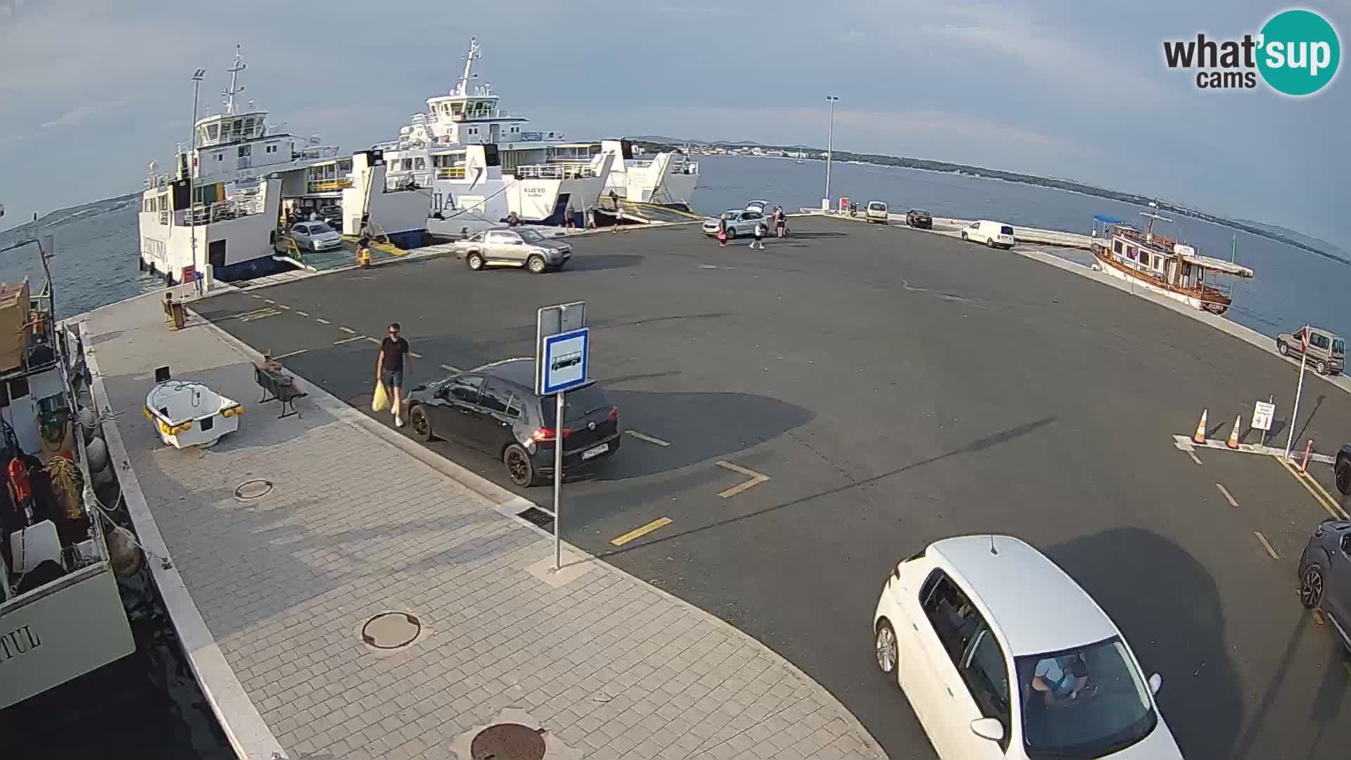 Tkon camera en vivo – Transportar – Dalmacia – Croacia