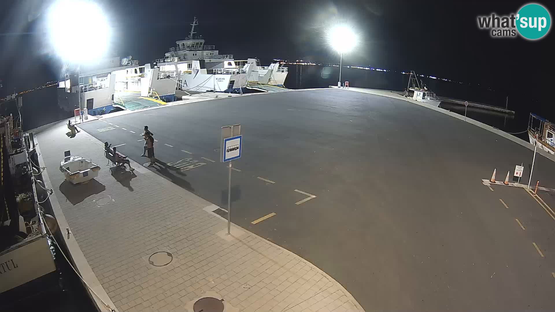 Tkon v živo – trajekt – Dalmacija – Hrvaška