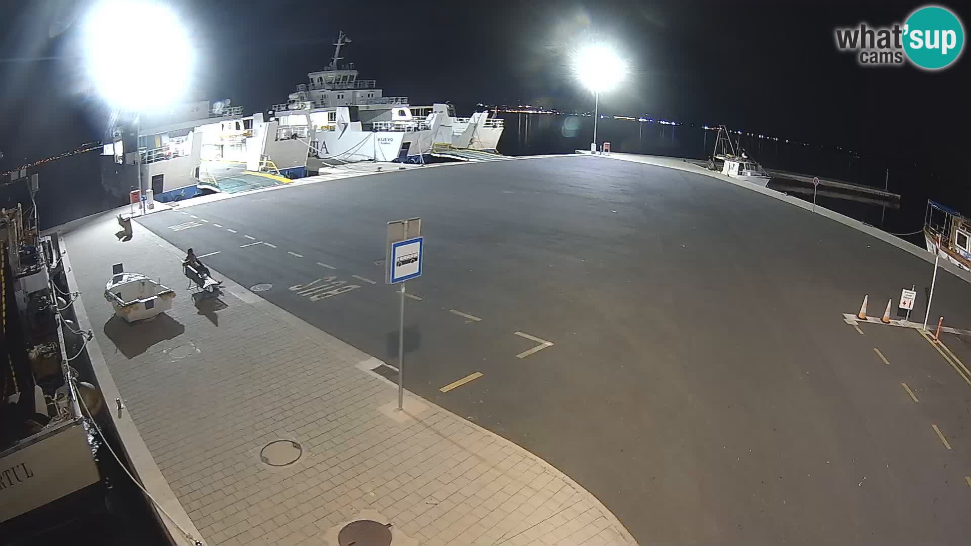 Tkon v živo – trajekt – Dalmacija – Hrvaška
