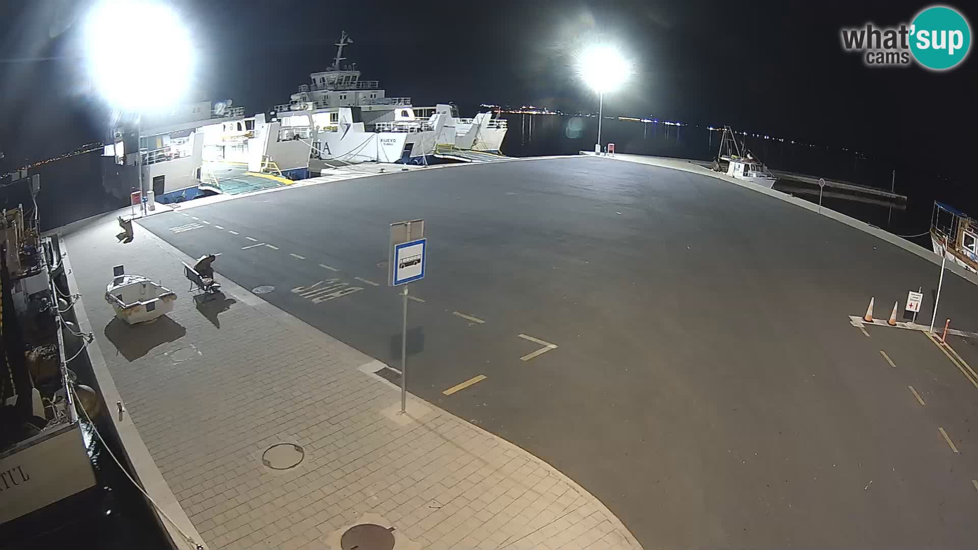 Tkon v živo – trajekt – Dalmacija – Hrvaška