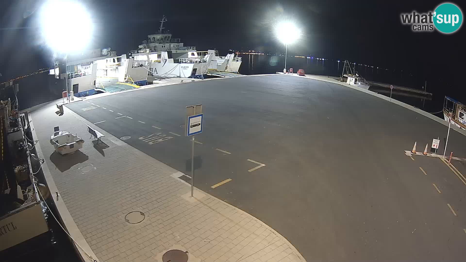 Tkon v živo – trajekt – Dalmacija – Hrvaška