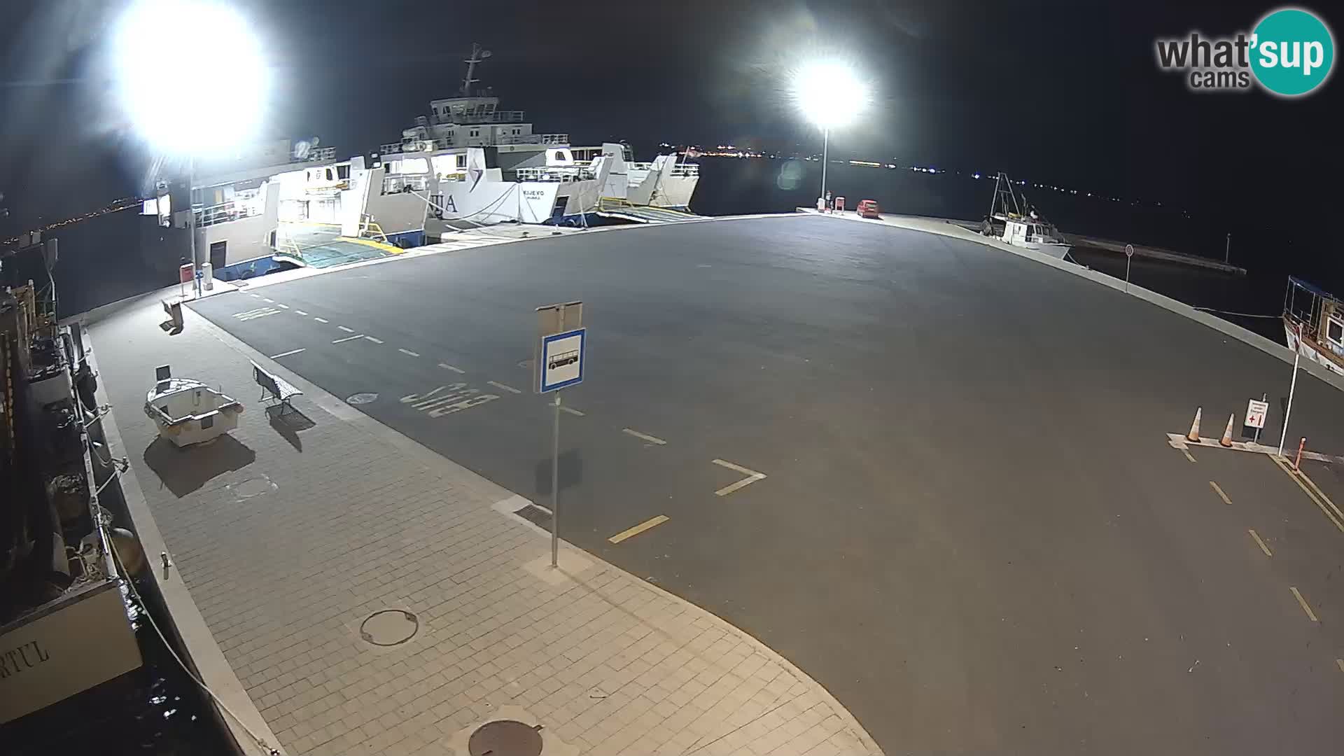 Tkon v živo – trajekt – Dalmacija – Hrvaška