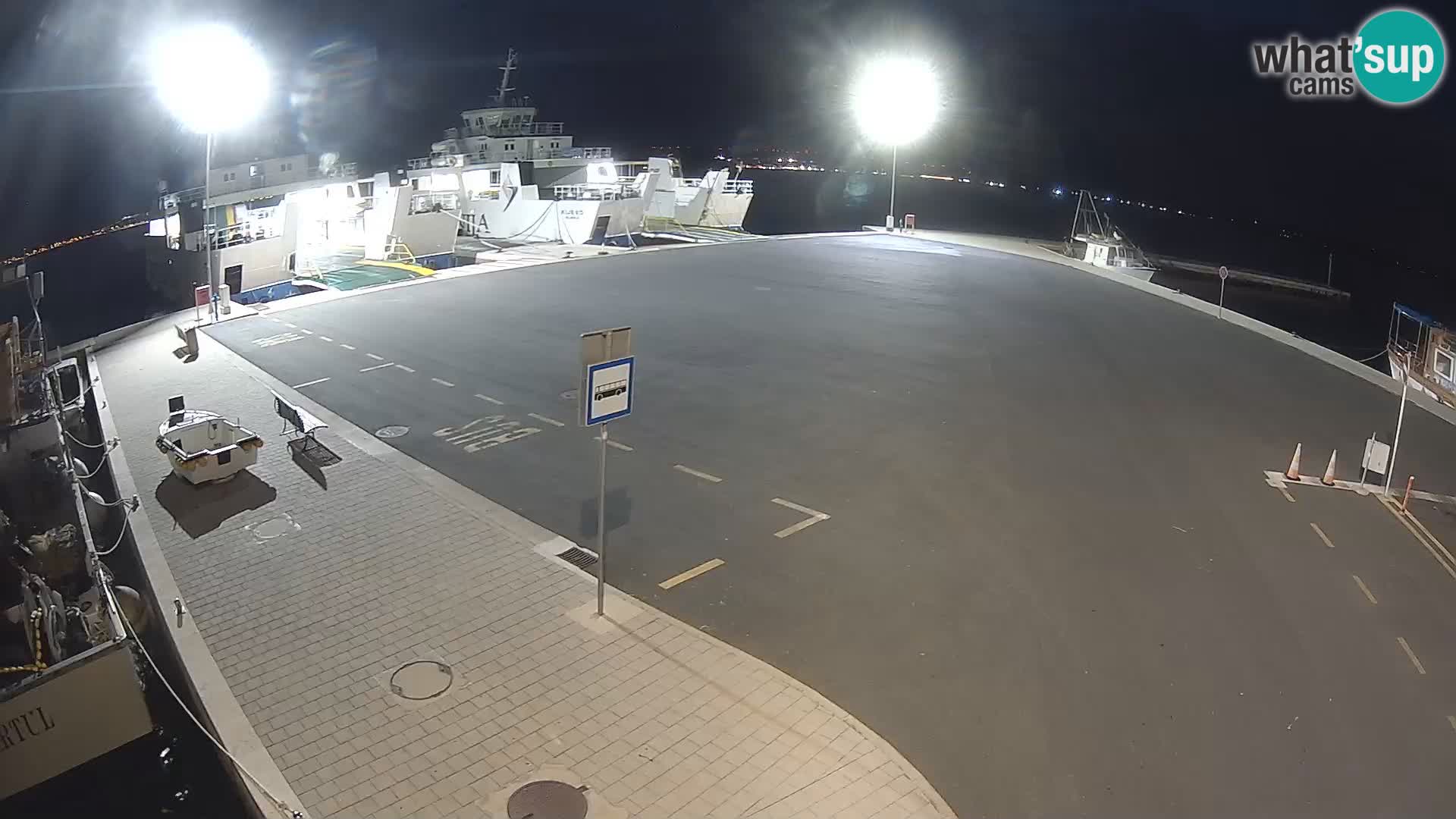 Tkon v živo – trajekt – Dalmacija – Hrvaška