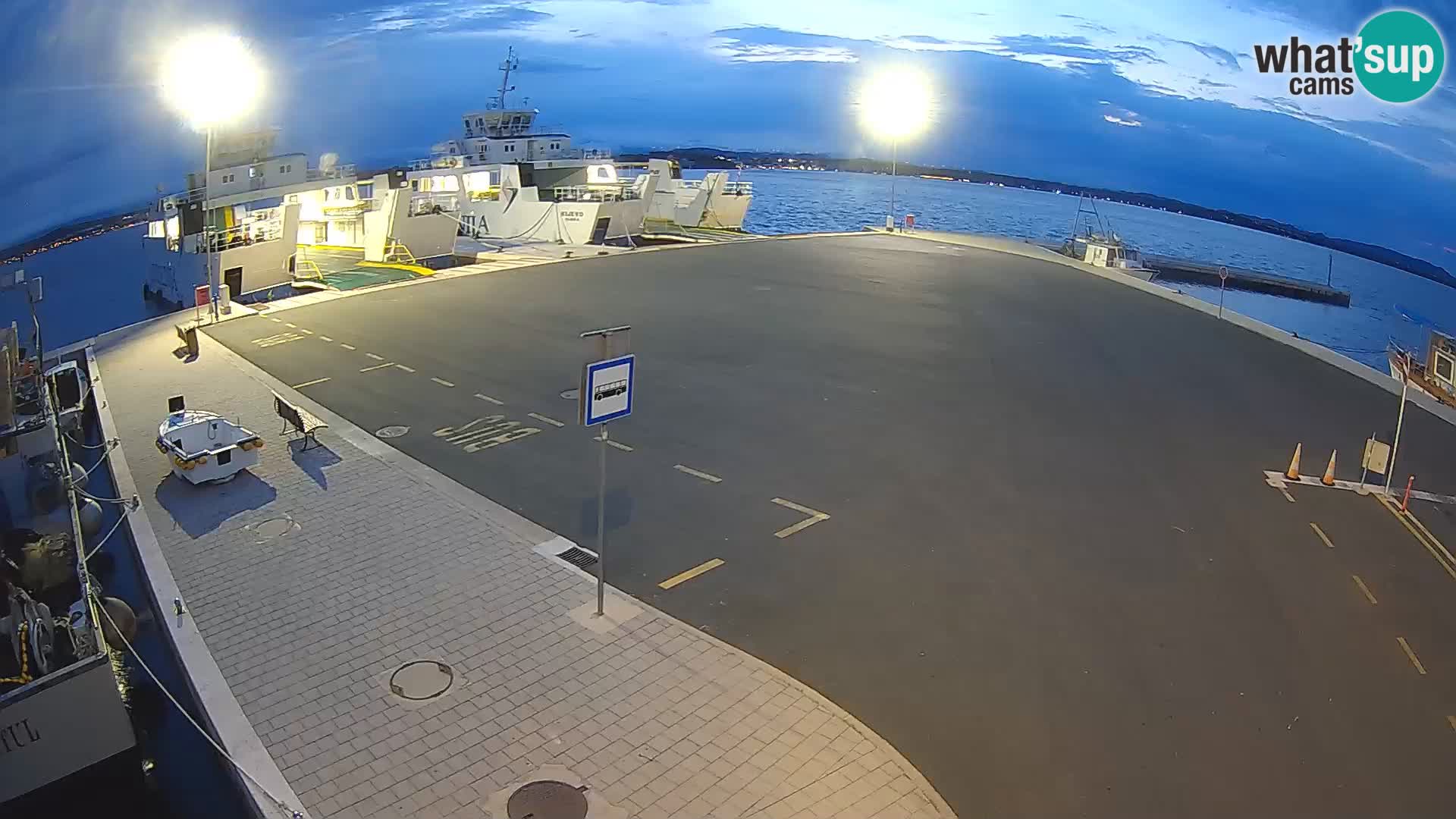Tkon v živo – trajekt – Dalmacija – Hrvaška