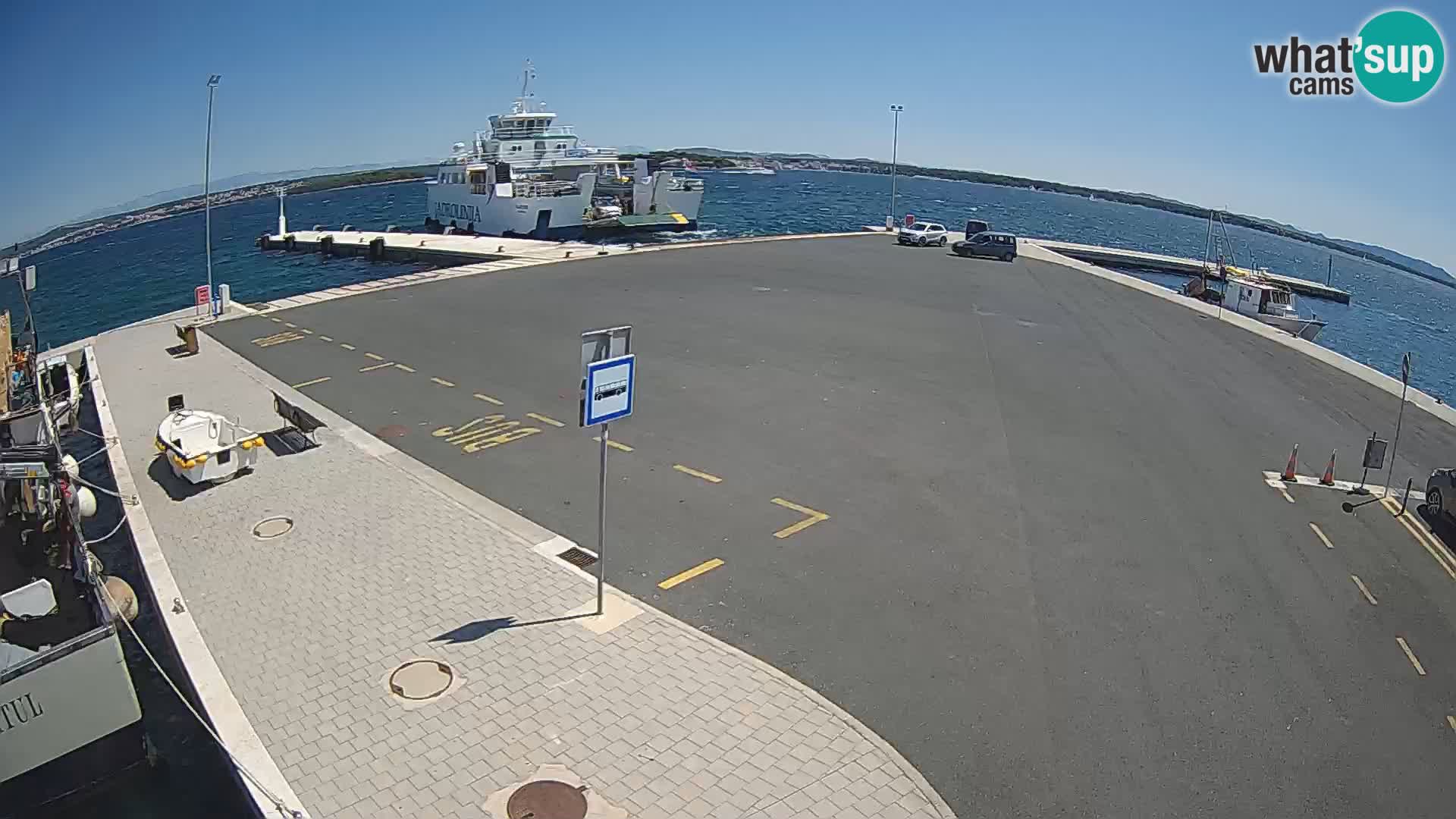 Tkon v živo – trajekt – Dalmacija – Hrvaška