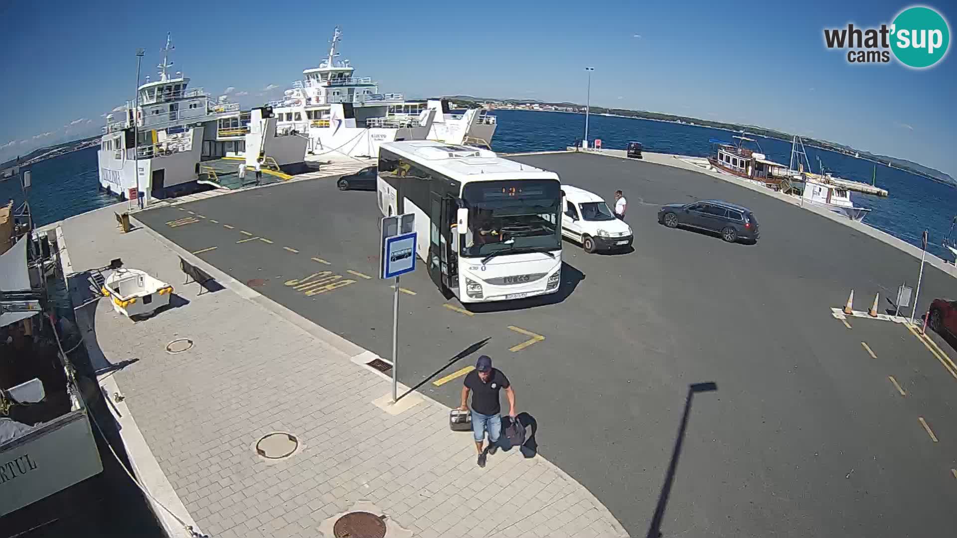 Tkon camera en vivo – Transportar – Dalmacia – Croacia