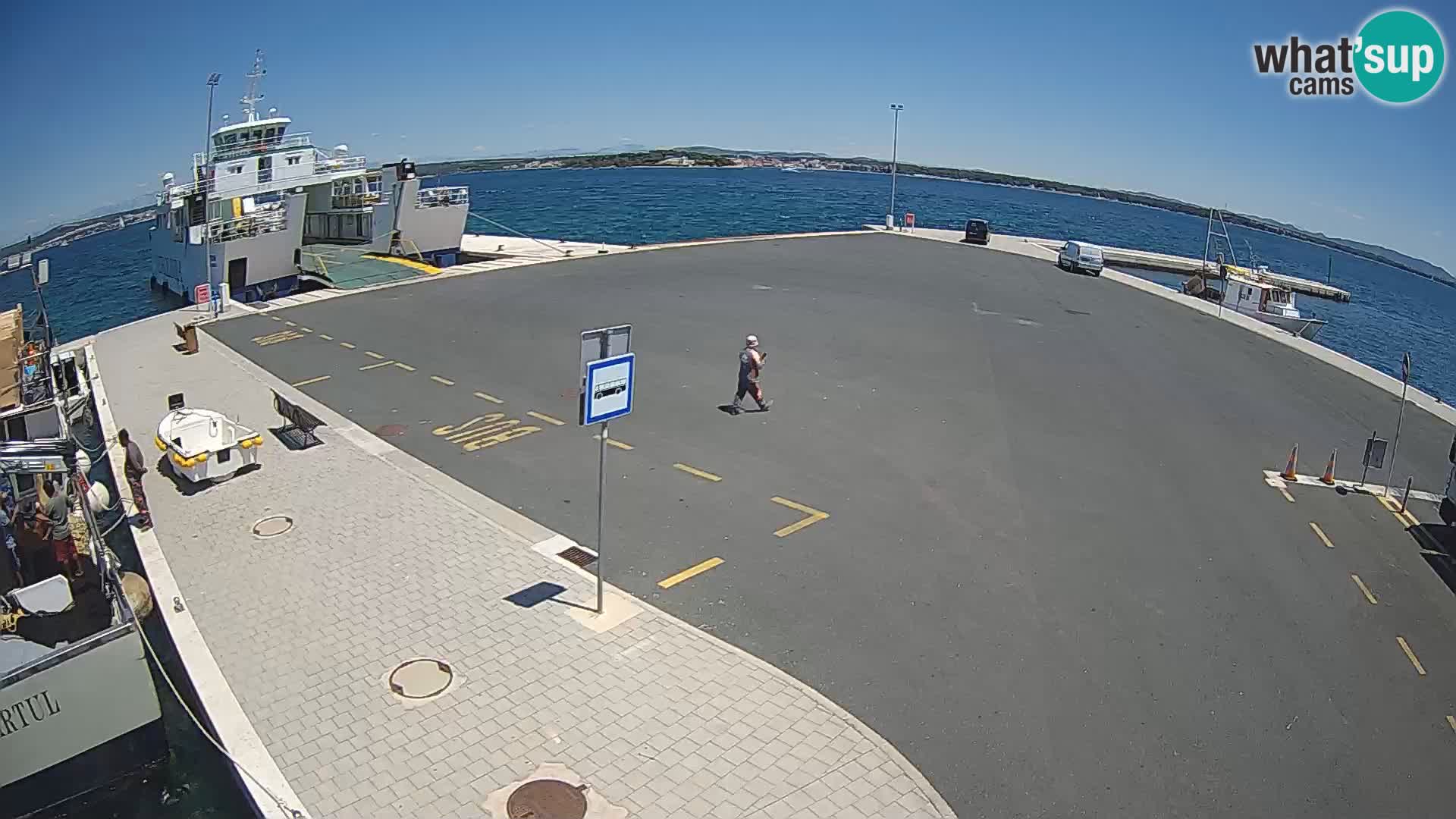 Tkon v živo – trajekt – Dalmacija – Hrvaška