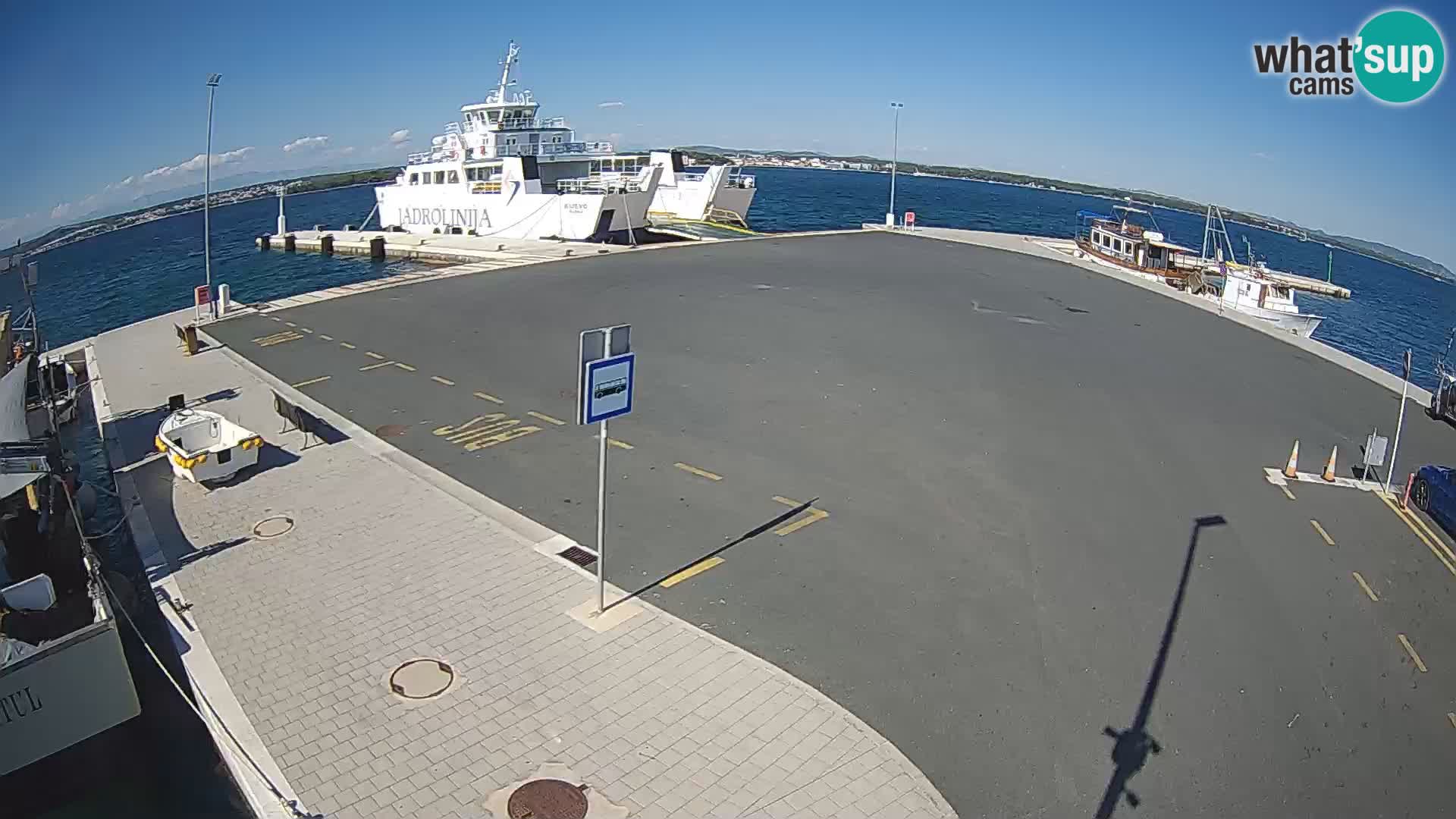 Tkon v živo – trajekt – Dalmacija – Hrvaška