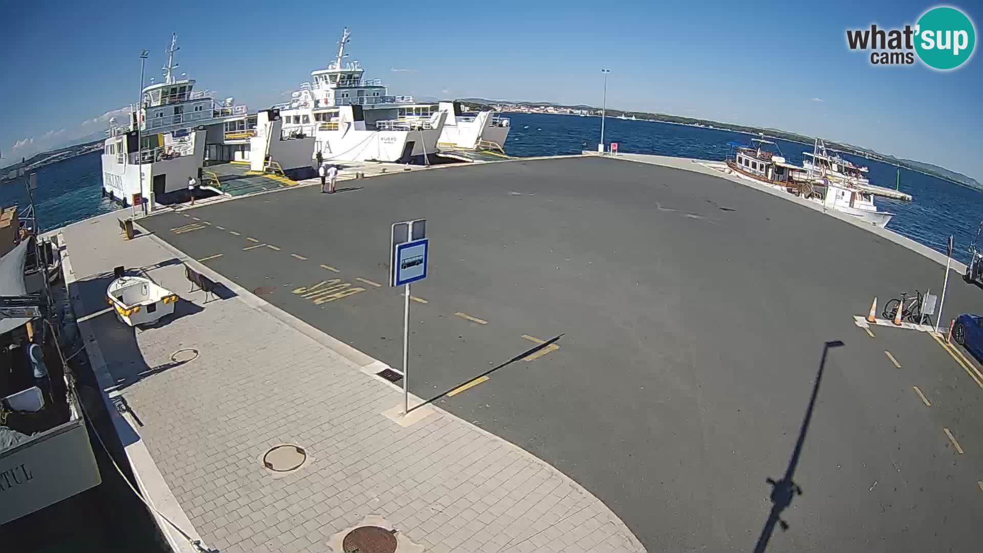 Tkon v živo – trajekt – Dalmacija – Hrvaška