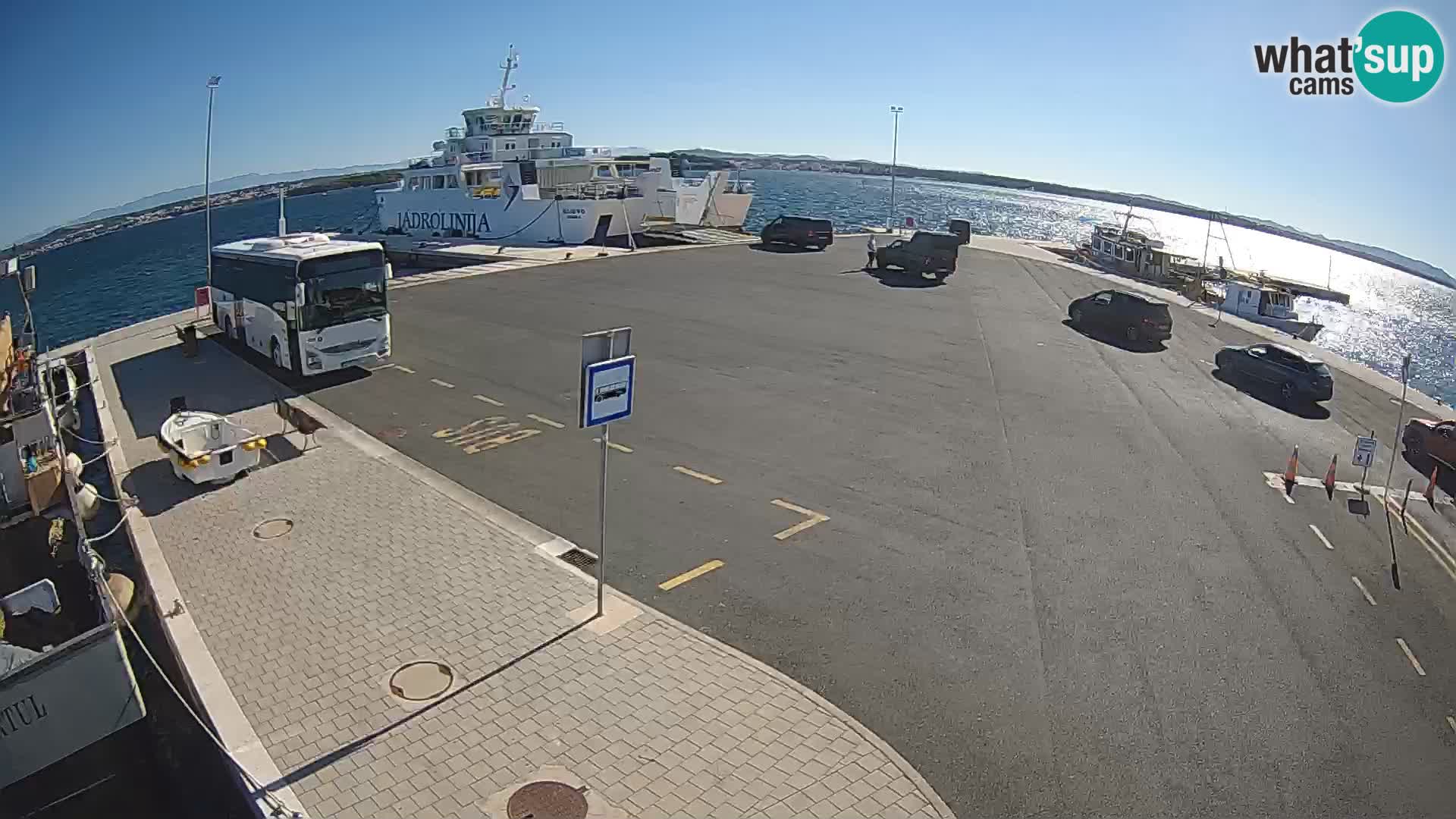 Tkon v živo – trajekt – Dalmacija – Hrvaška