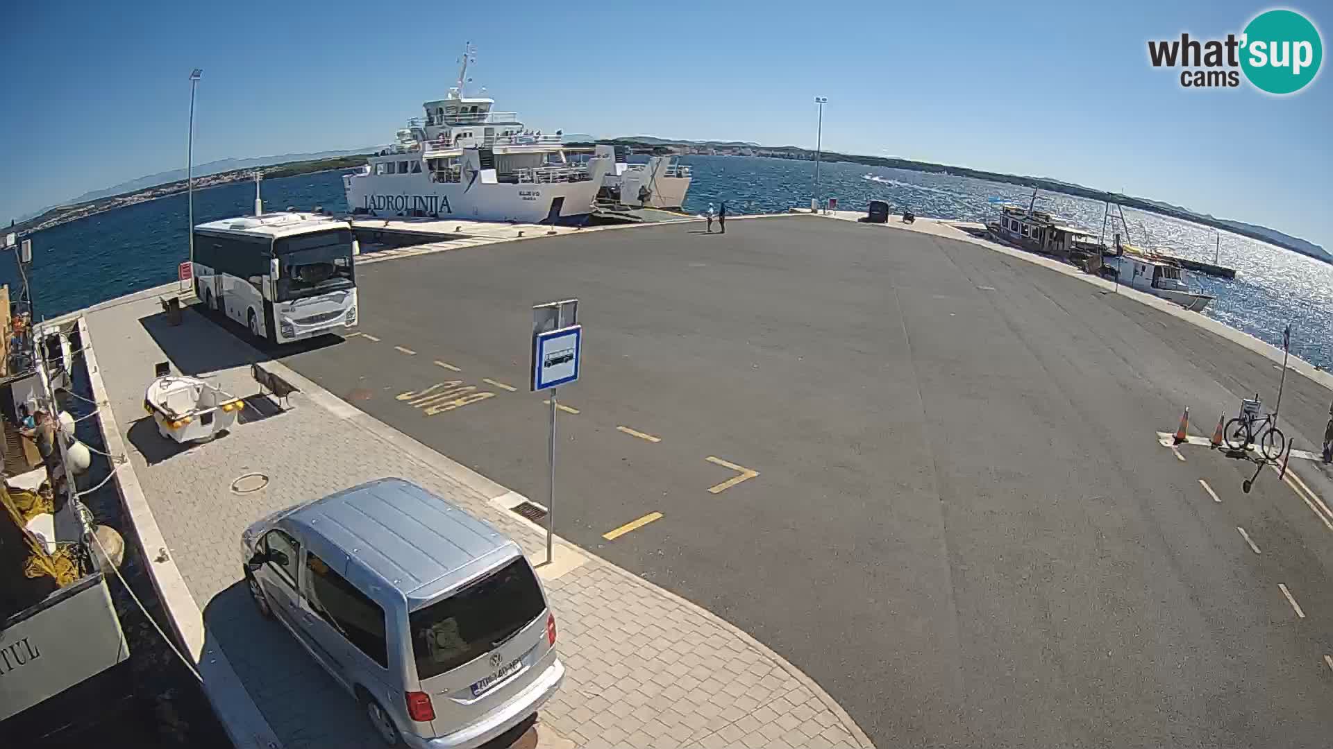 Tkon v živo – trajekt – Dalmacija – Hrvaška