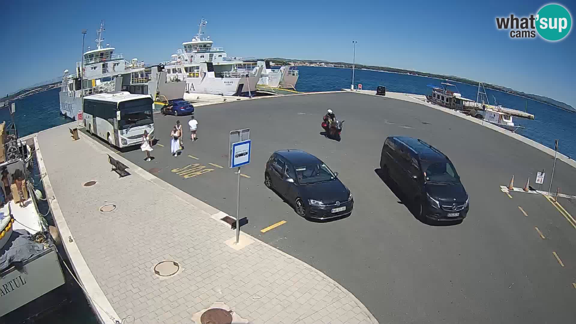 Tkon v živo – trajekt – Dalmacija – Hrvaška