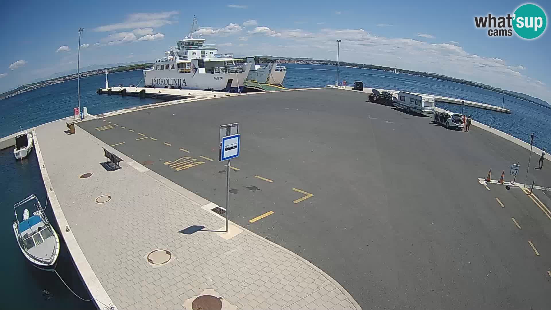 Tkon v živo – trajekt – Dalmacija – Hrvaška