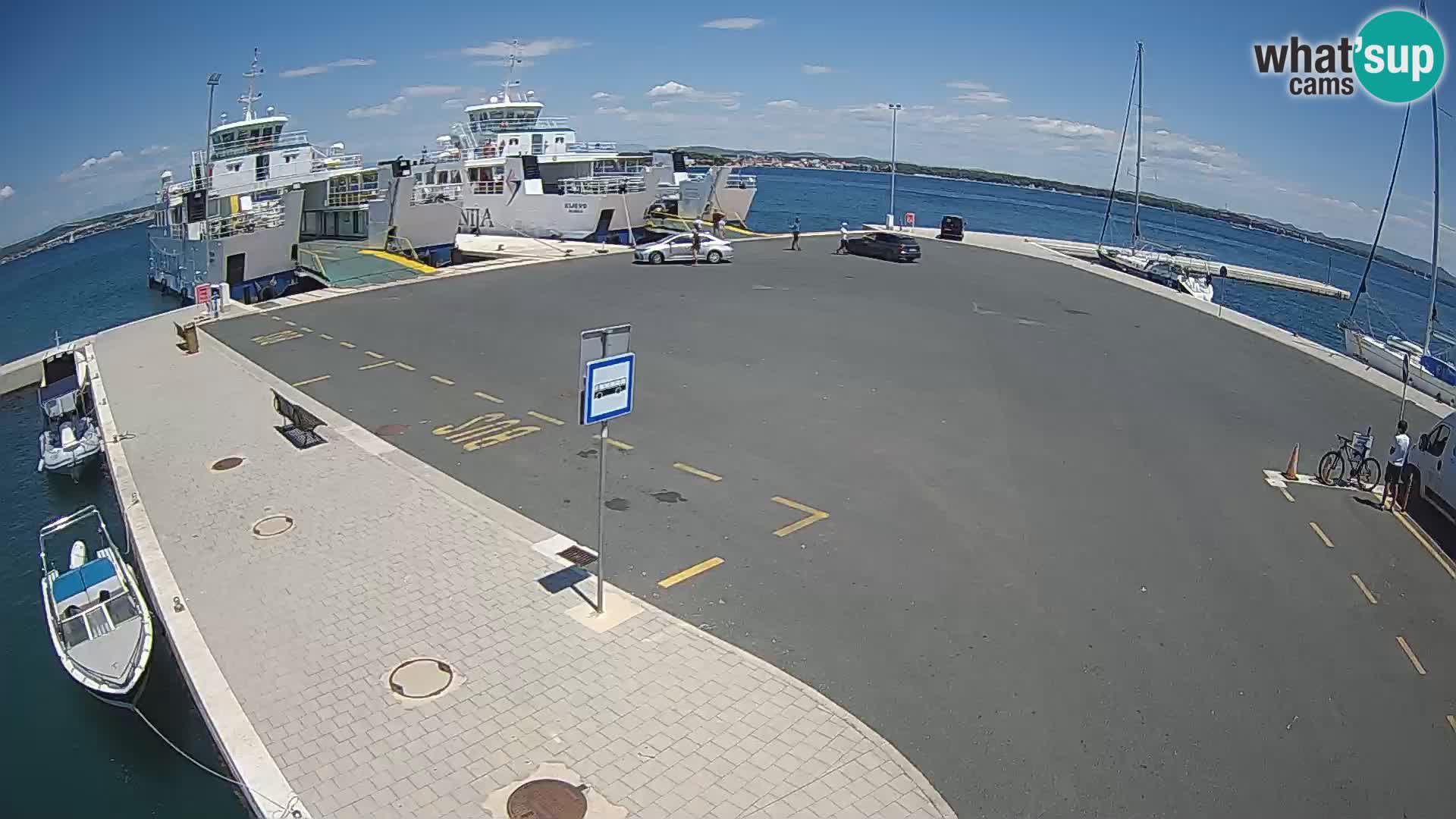 Tkon v živo – trajekt – Dalmacija – Hrvaška