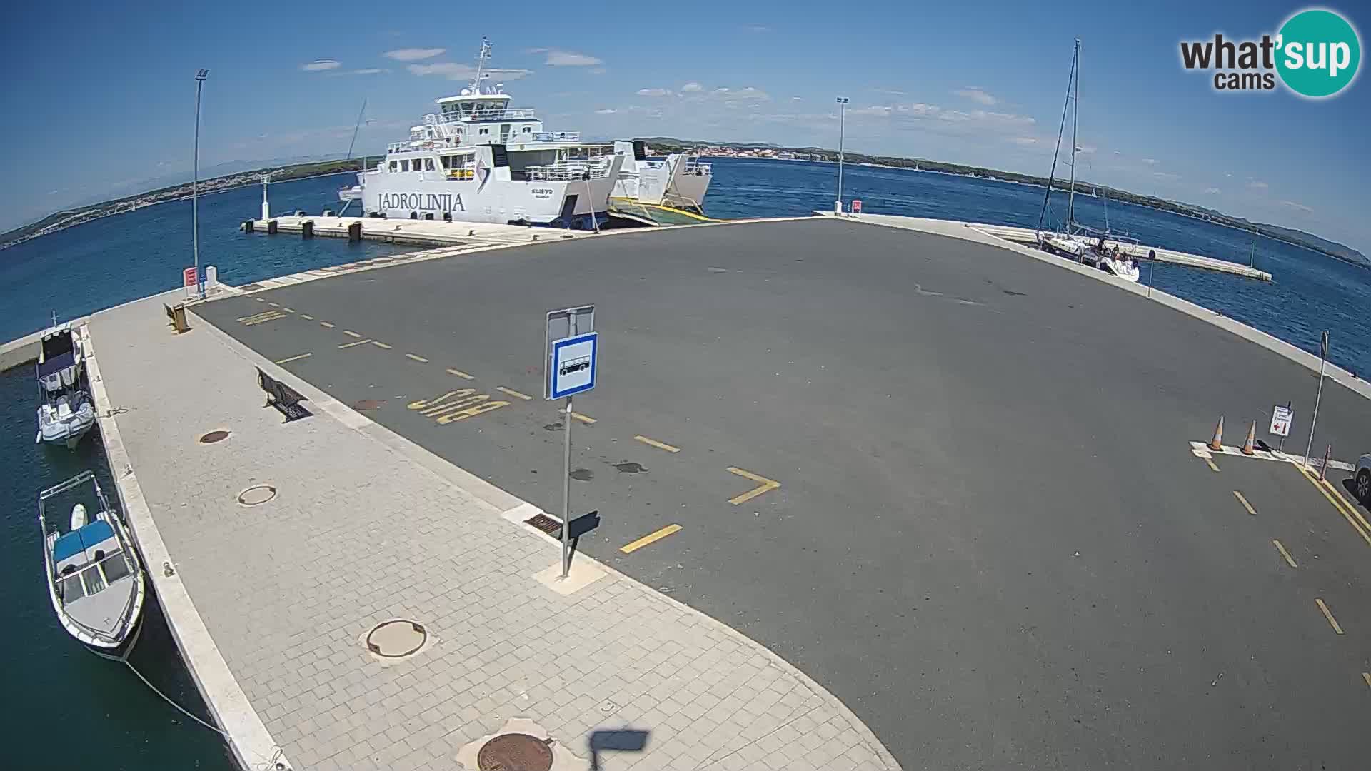 Tkon v živo – trajekt – Dalmacija – Hrvaška