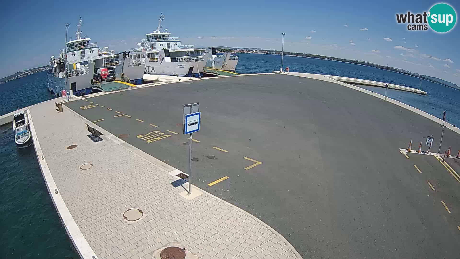 Tkon v živo – trajekt – Dalmacija – Hrvaška