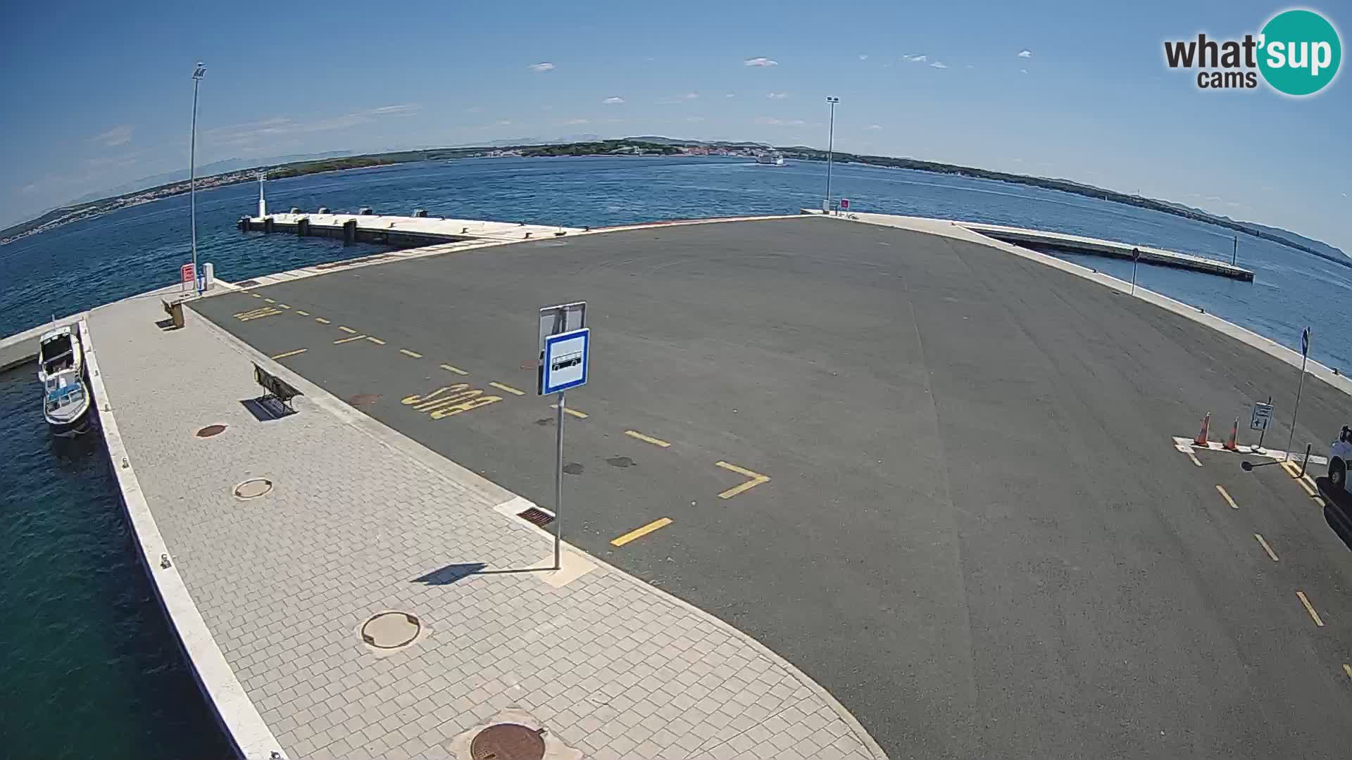 Tkon v živo – trajekt – Dalmacija – Hrvaška
