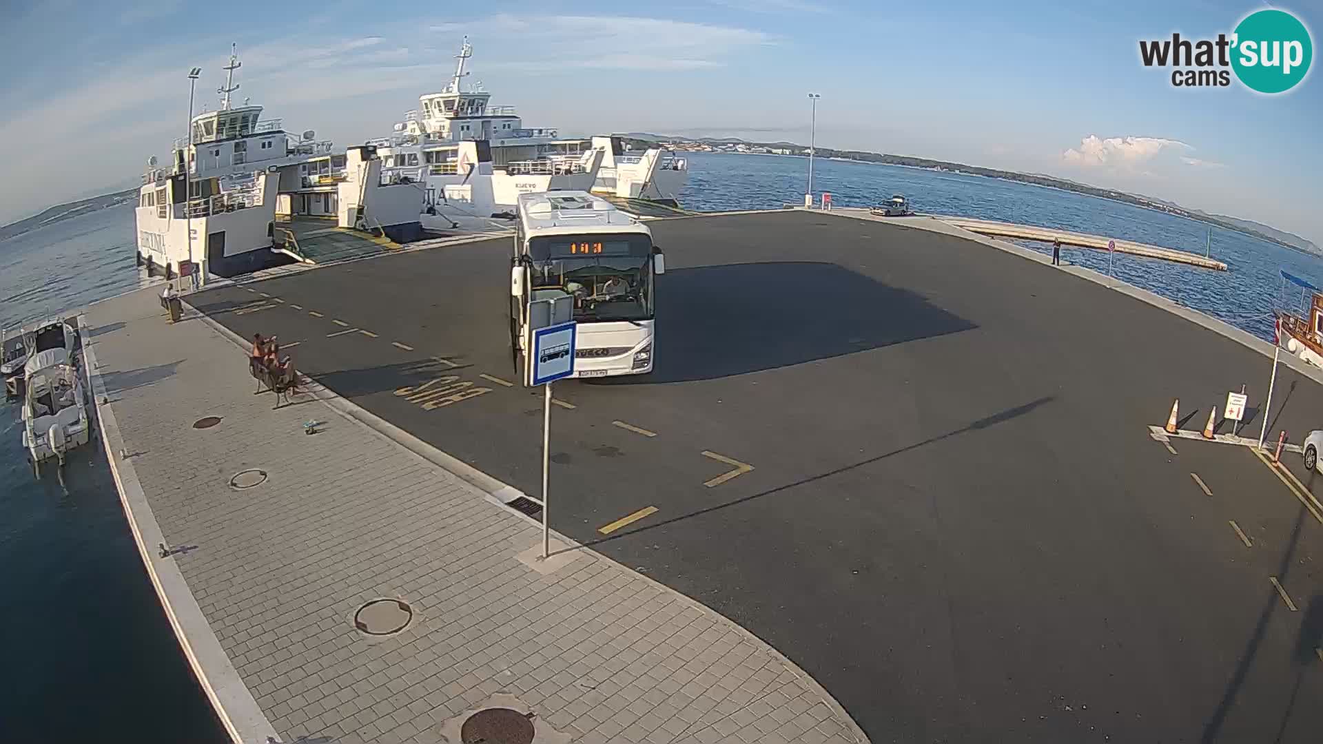 Tkon u živo – trajekt – Dalmacija