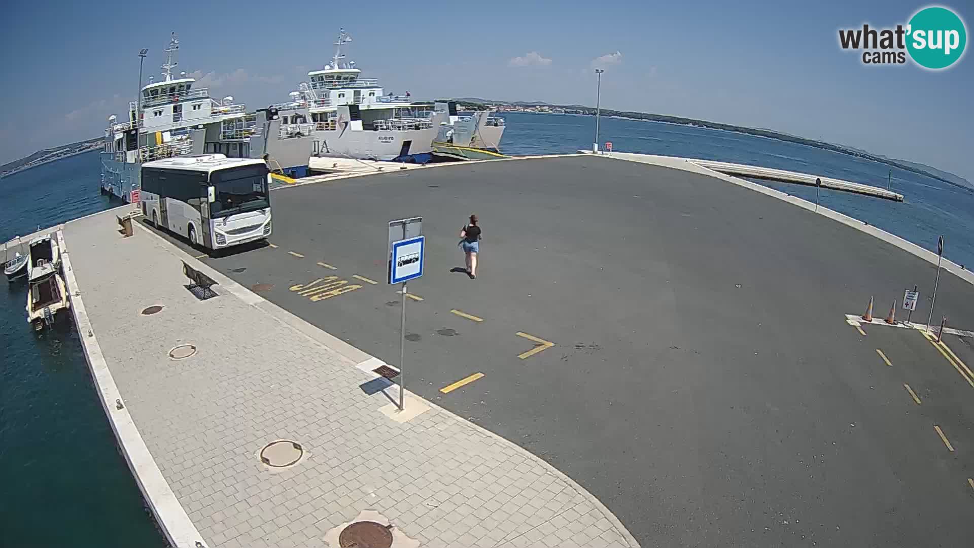 Tkon Live cam – ferry – Dalmatia – Croatia